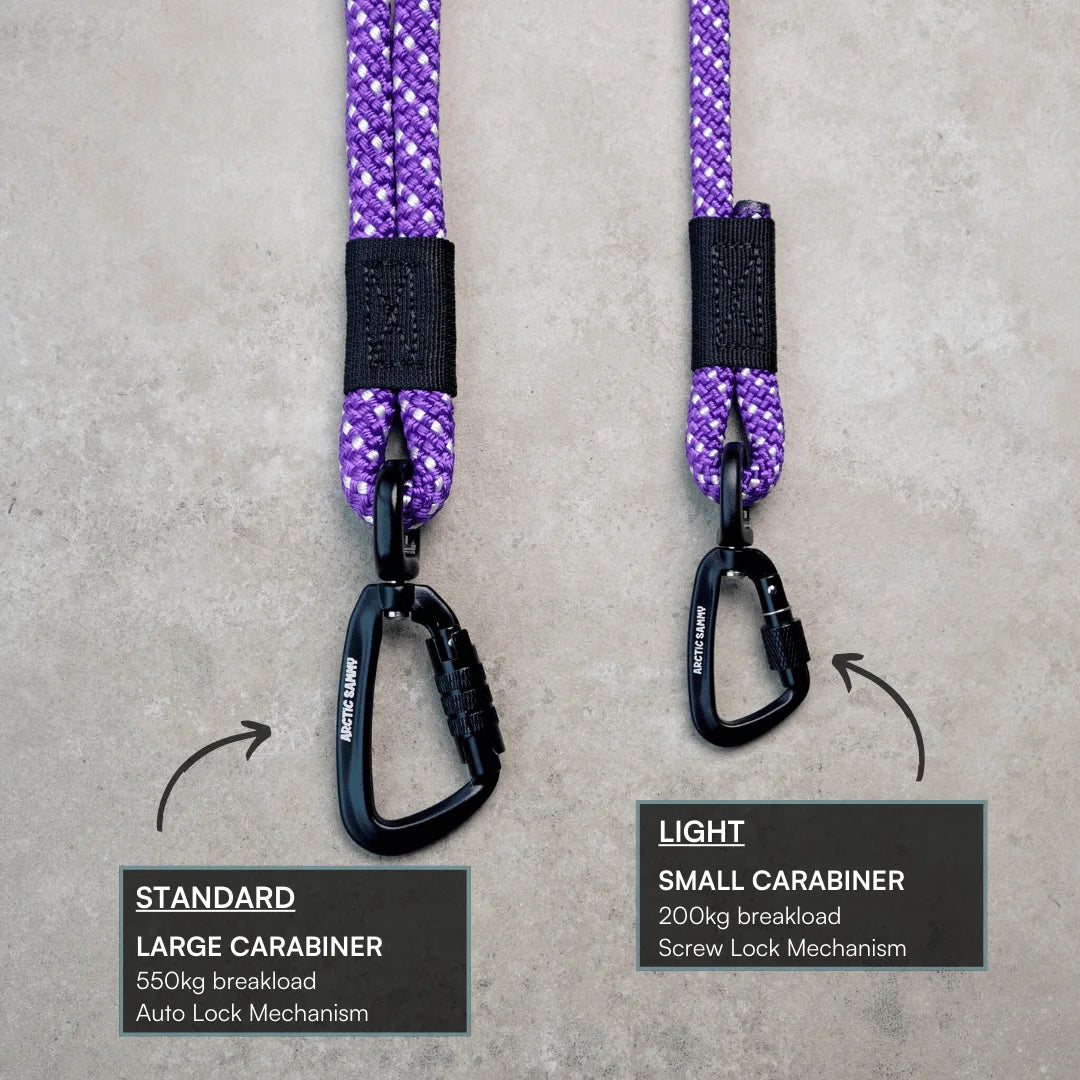 Waihi Trail Runner Handsfree Dog Leash