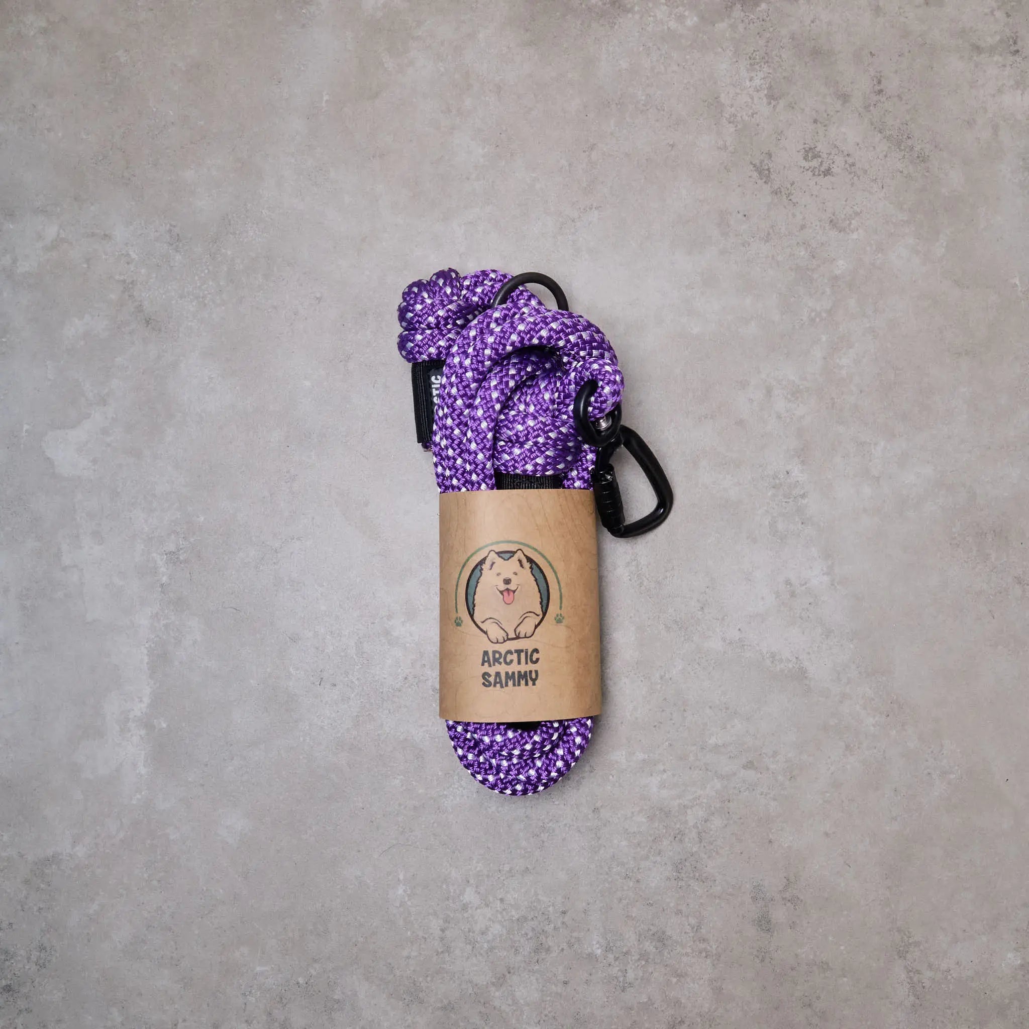 Waihi Trail Runner Handsfree Dog Leash