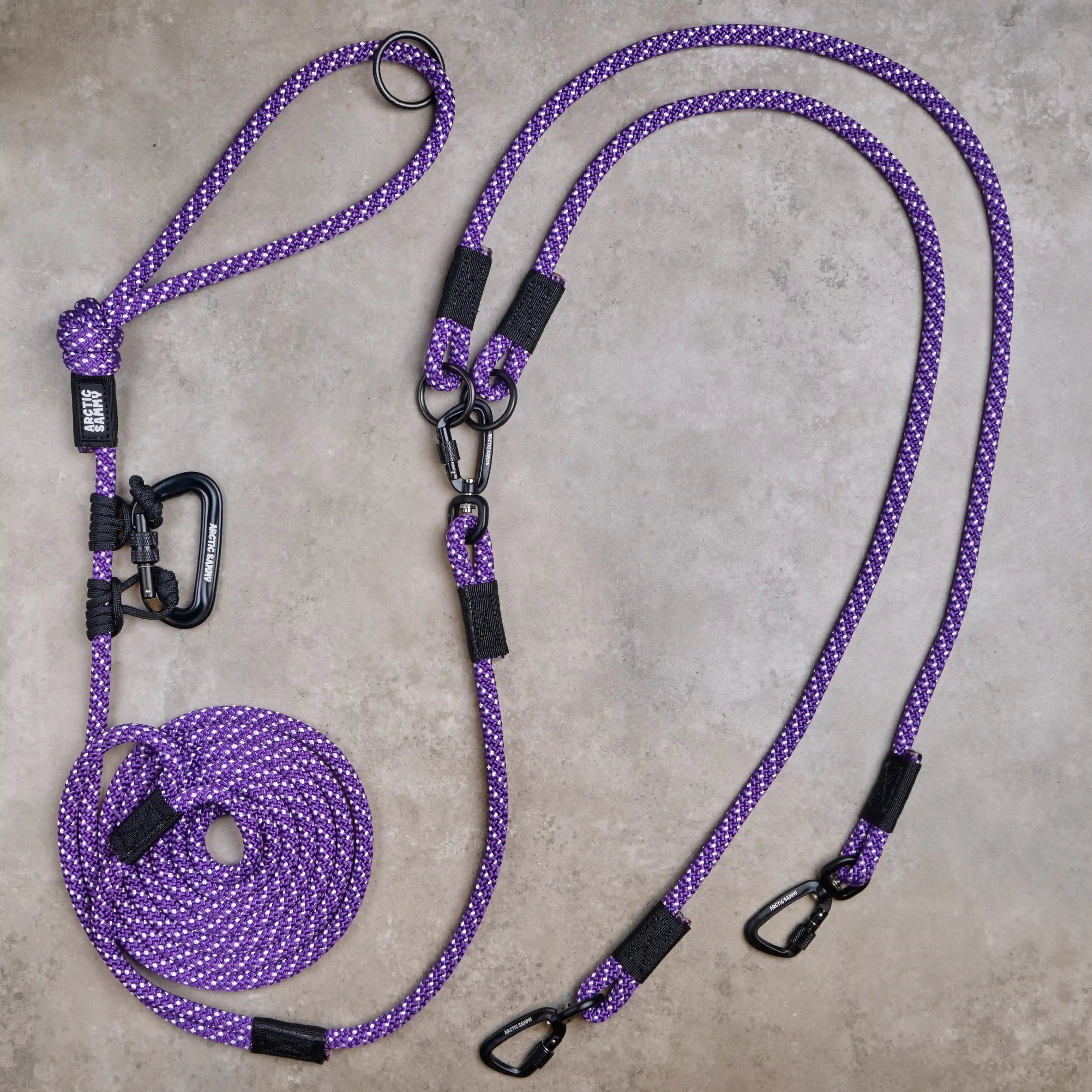 Waihi Handsfree Double Dog Leash