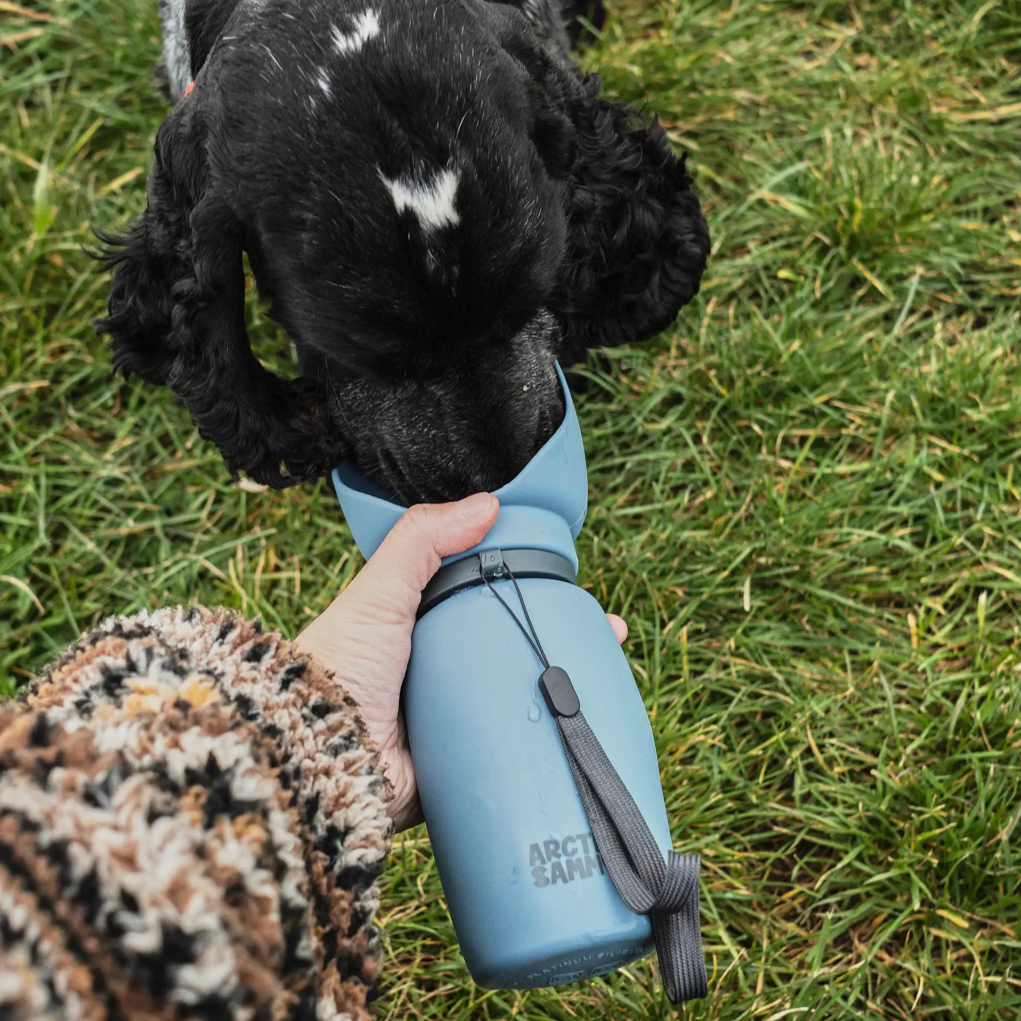 HydroFold Dog Water Bottle
