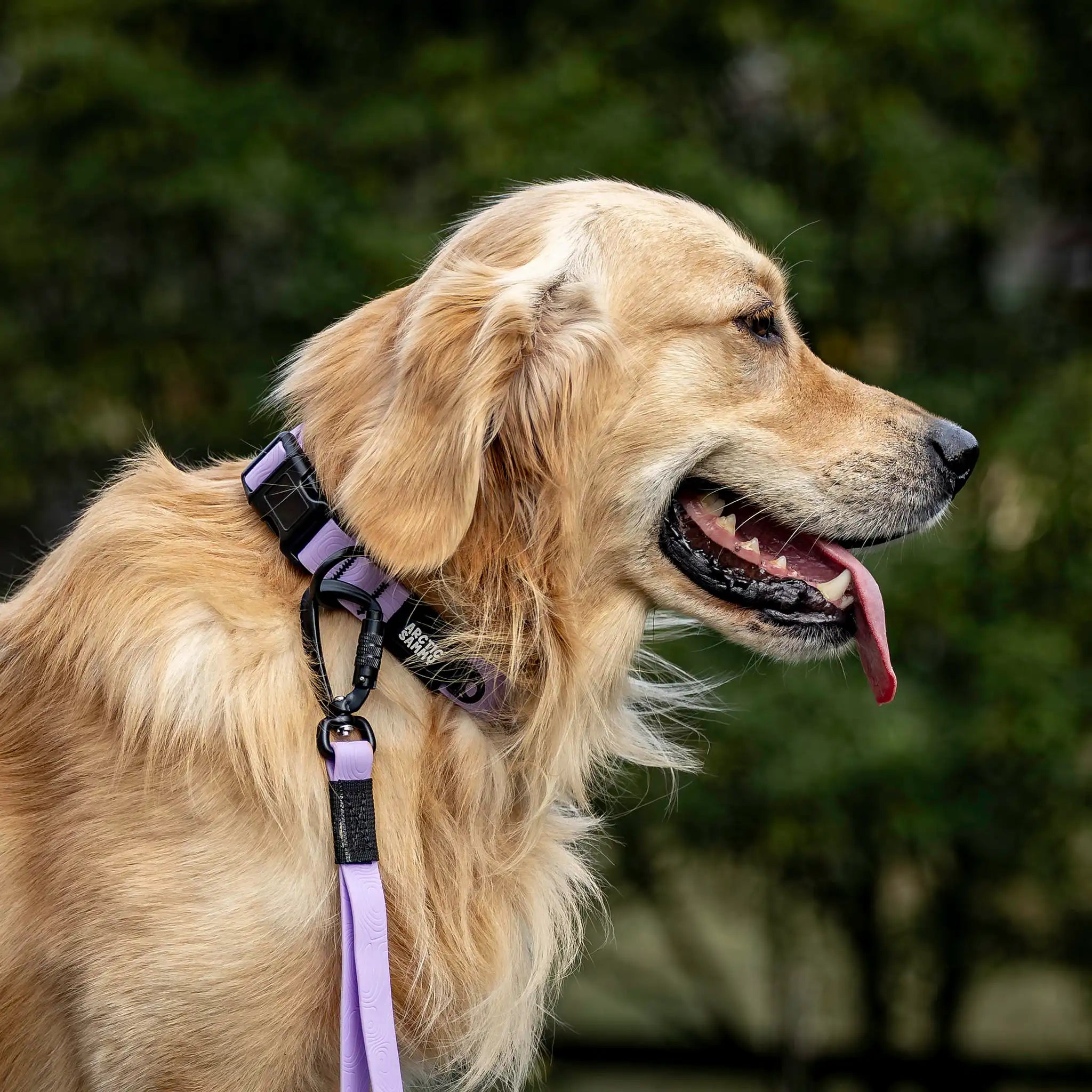 Lavender Terraflow Traffic Handle Leash