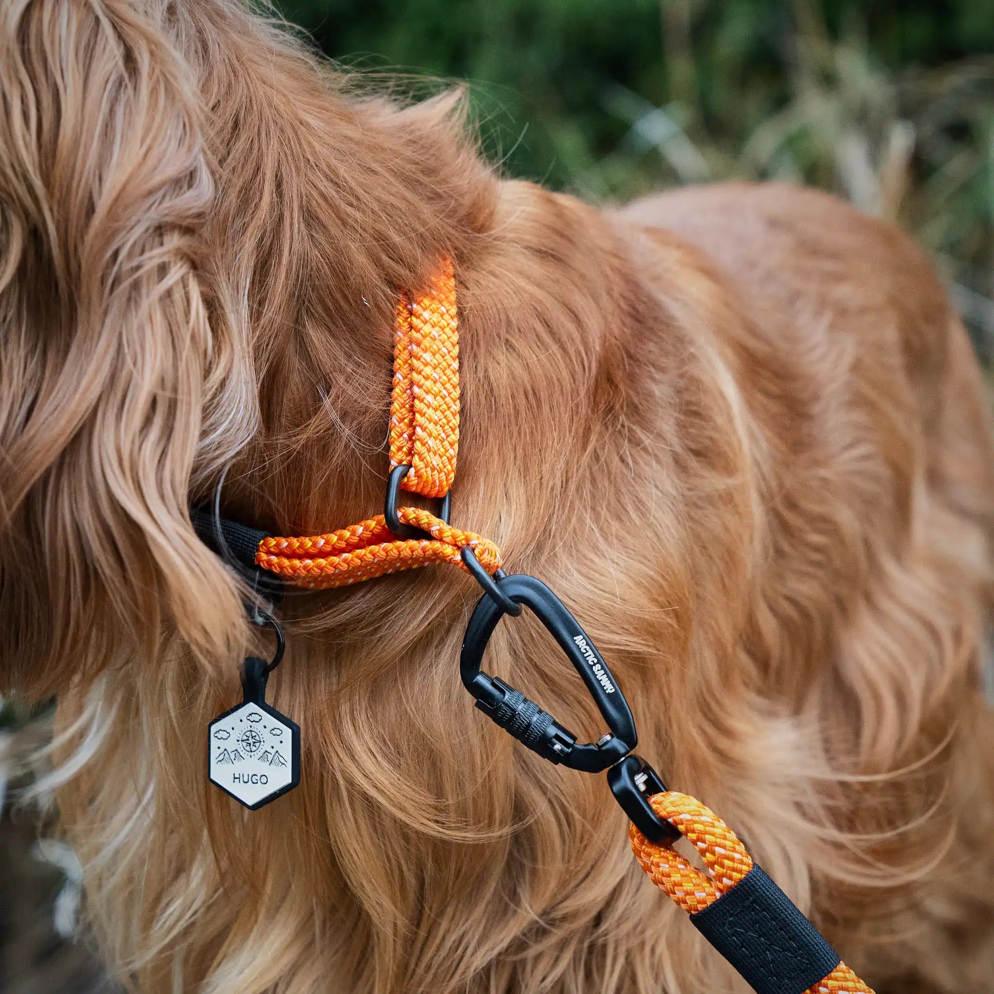Hawea Martingale Collar