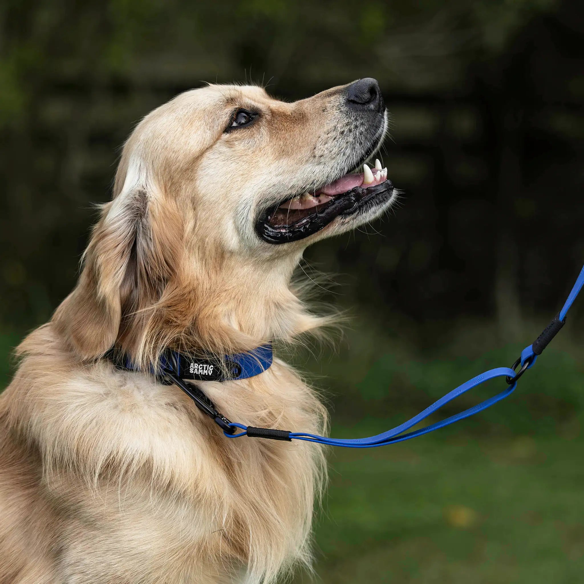 Navy Blue Terraflow Traffic Handle Leash
