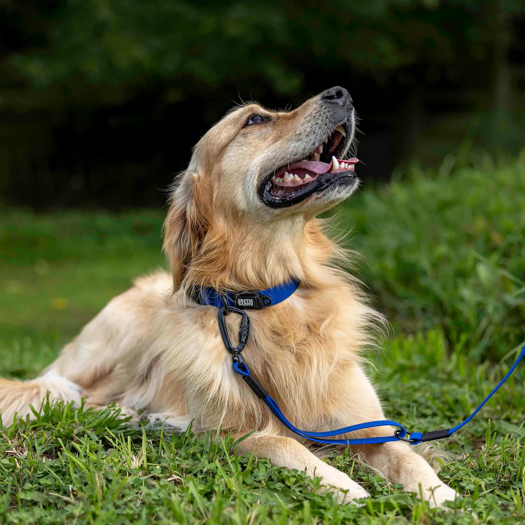 Navy Blue Terraflow Traffic Handle Leash