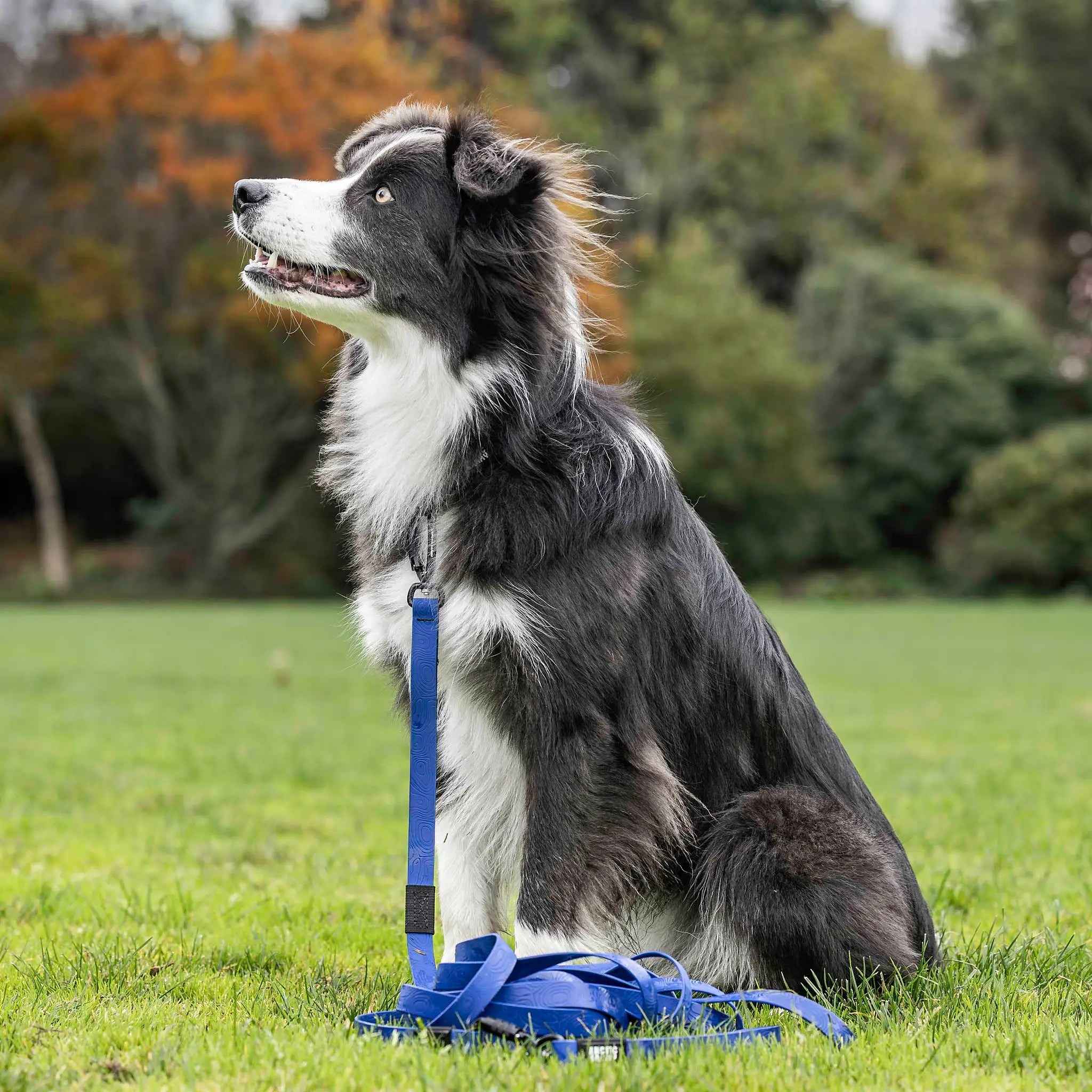 Navy Blue Terraflow Traffic Handle Leash