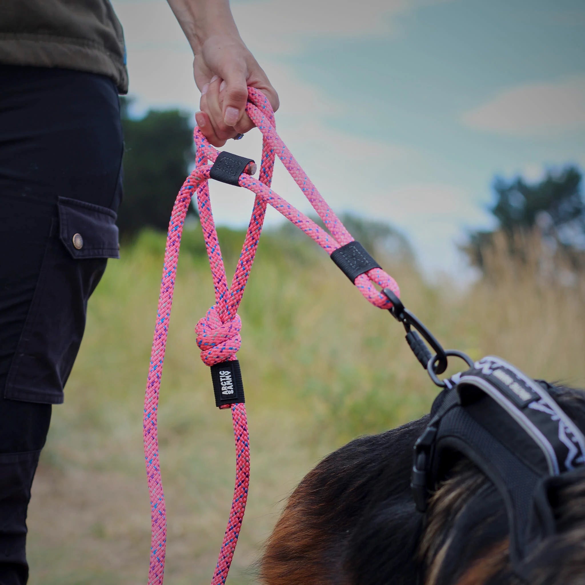 Ohau Rope Dog Leash with Traffic Handle