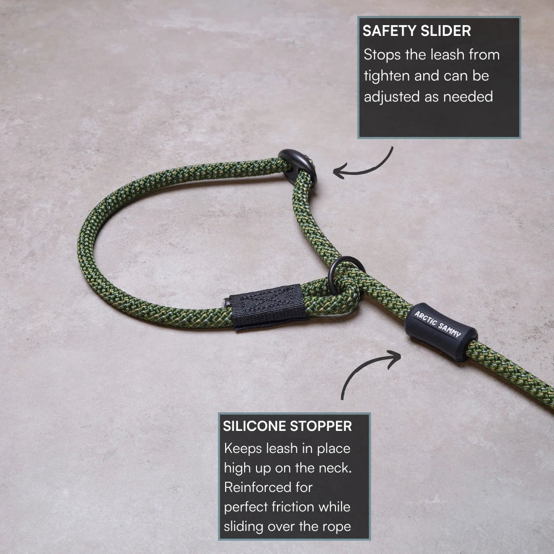 Remutaka Dog Slip Leash