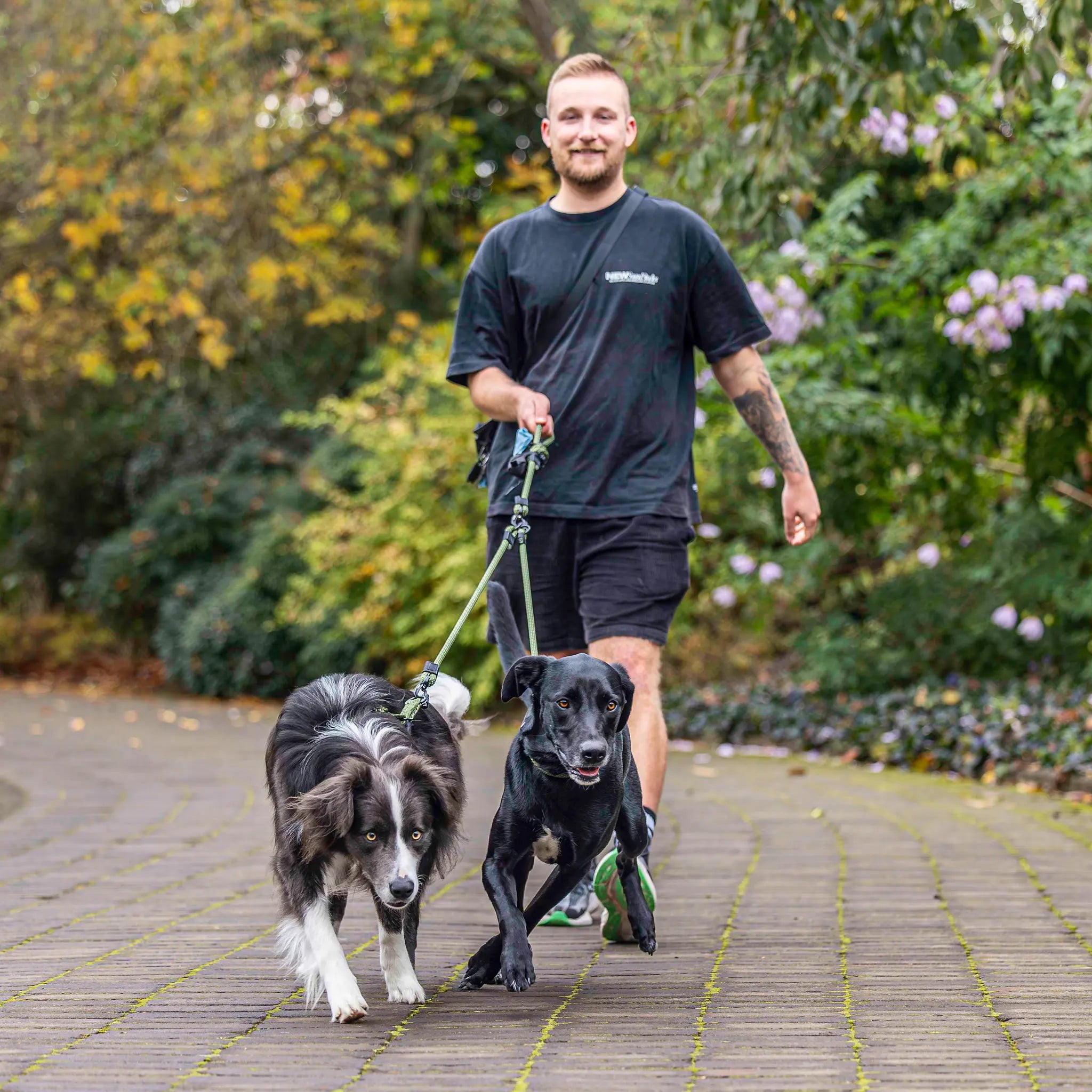 Remutaka Double Dog Leash