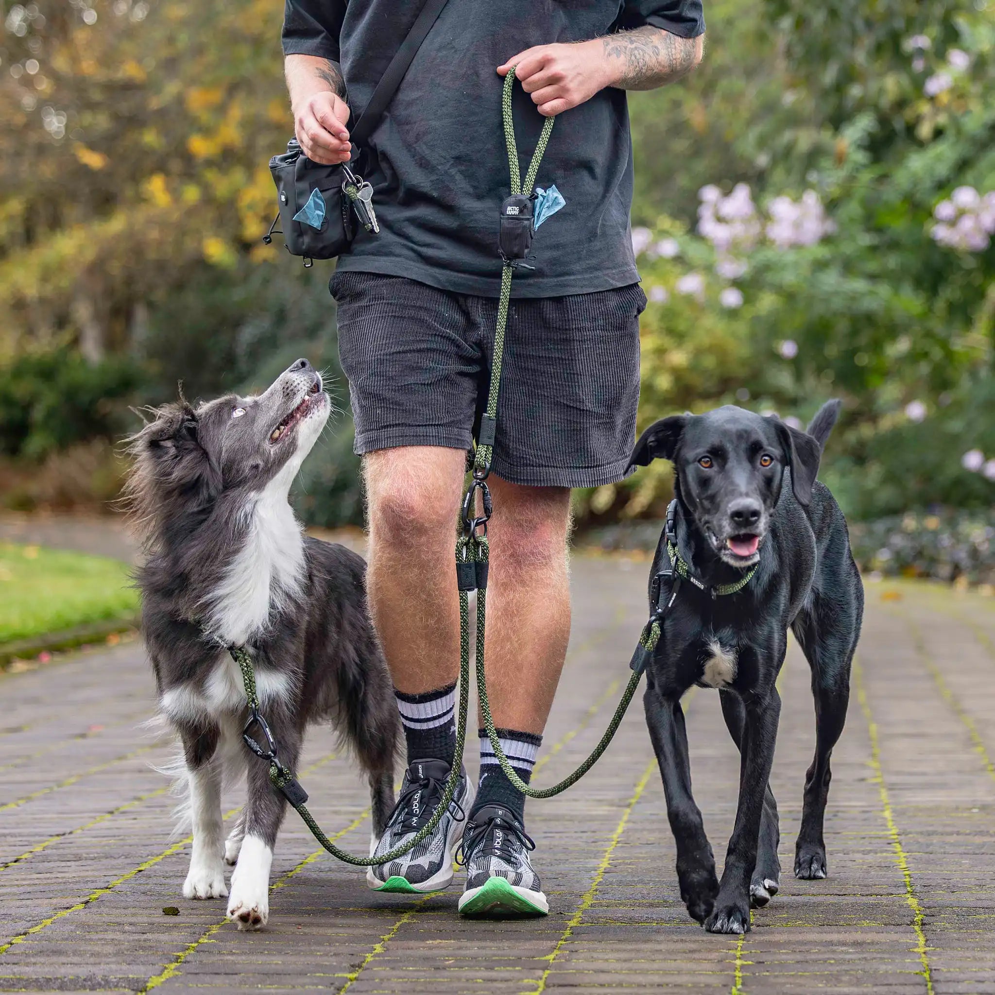 Remutaka Double Dog Leash