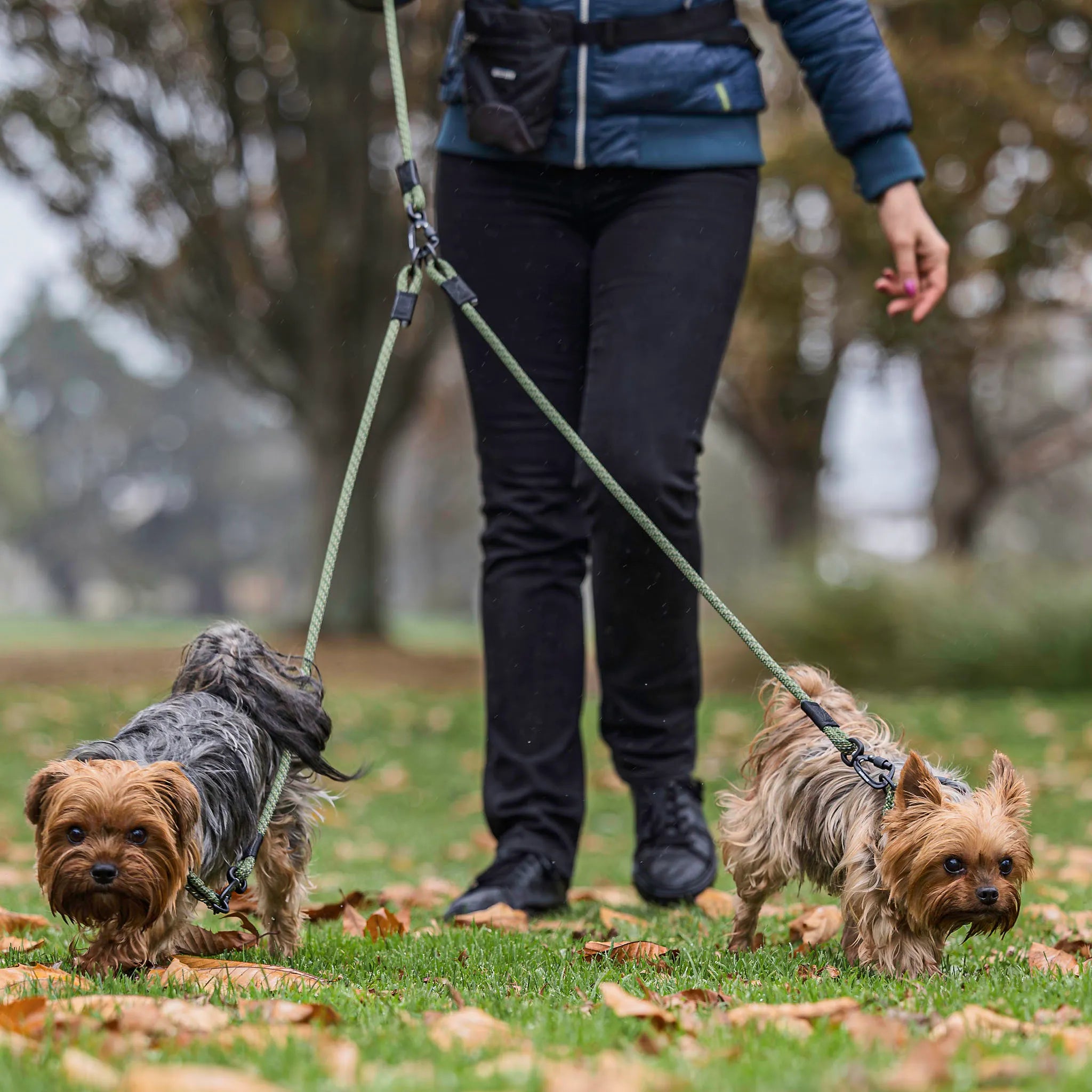 Remutaka Double Dog Leash