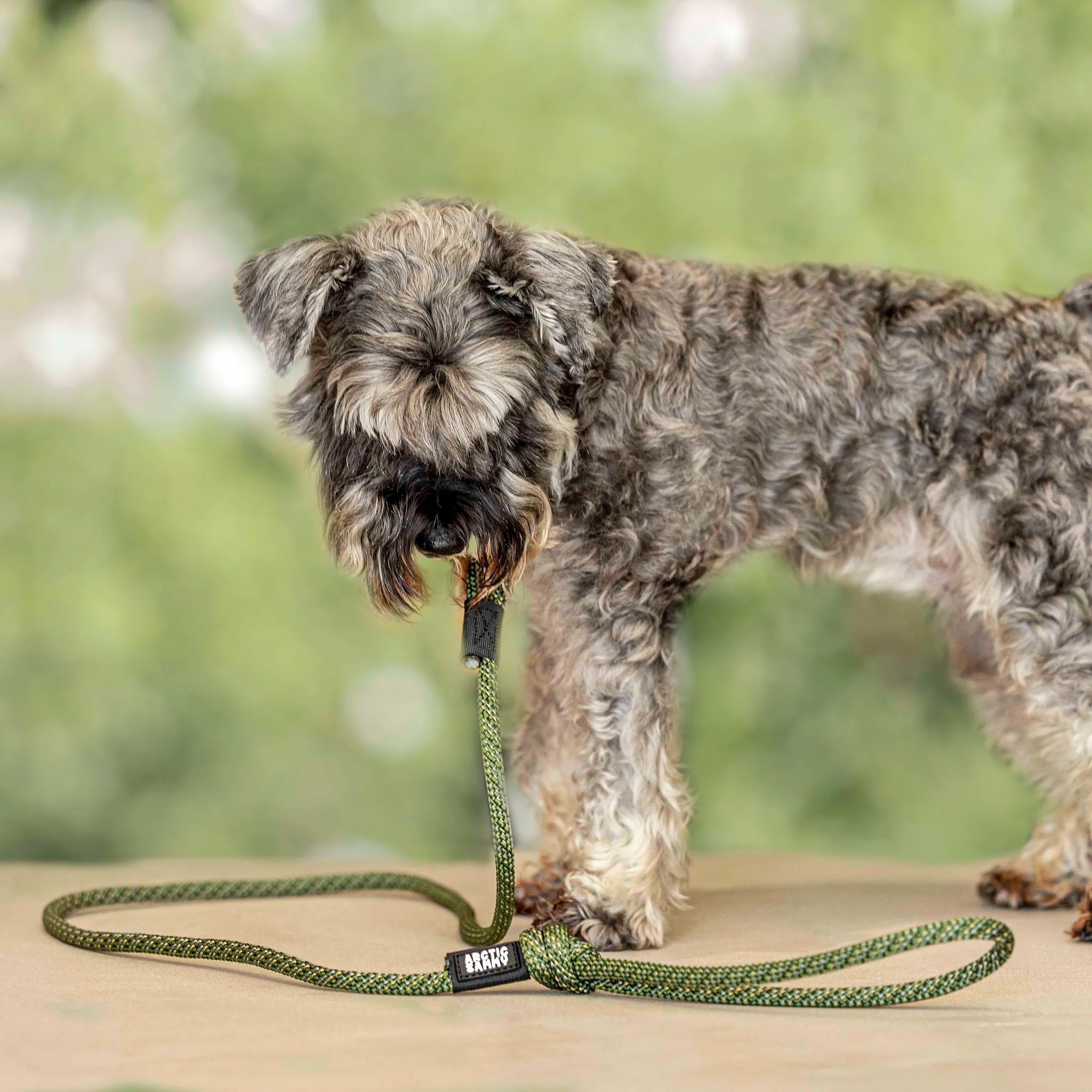 Remutaka Rope Dog Leash