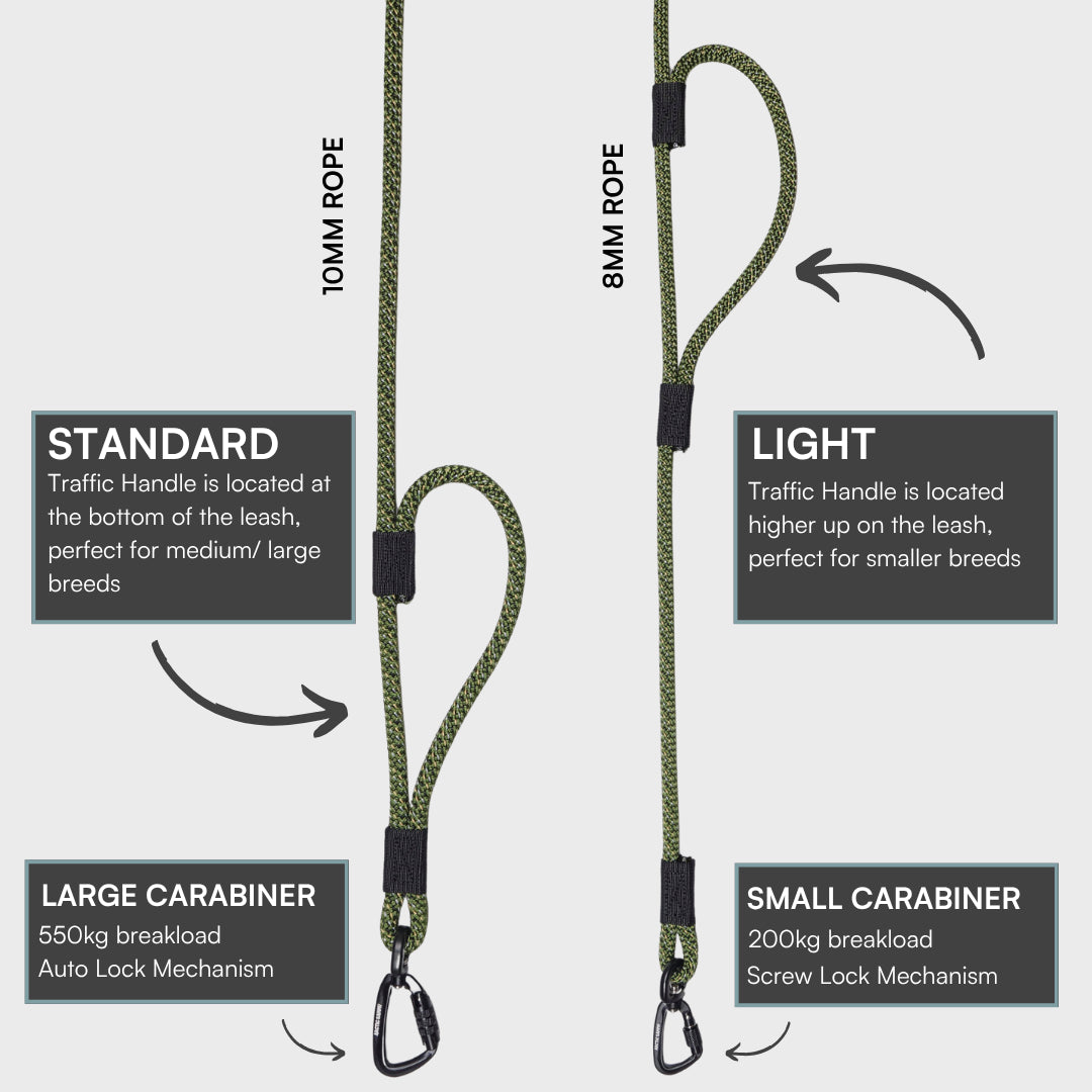 Remutaka Rope Dog Leash with Traffic Handle