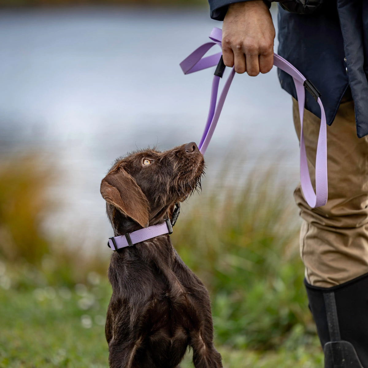 Lavender Terraflow Traffic Handle Leash 2.0