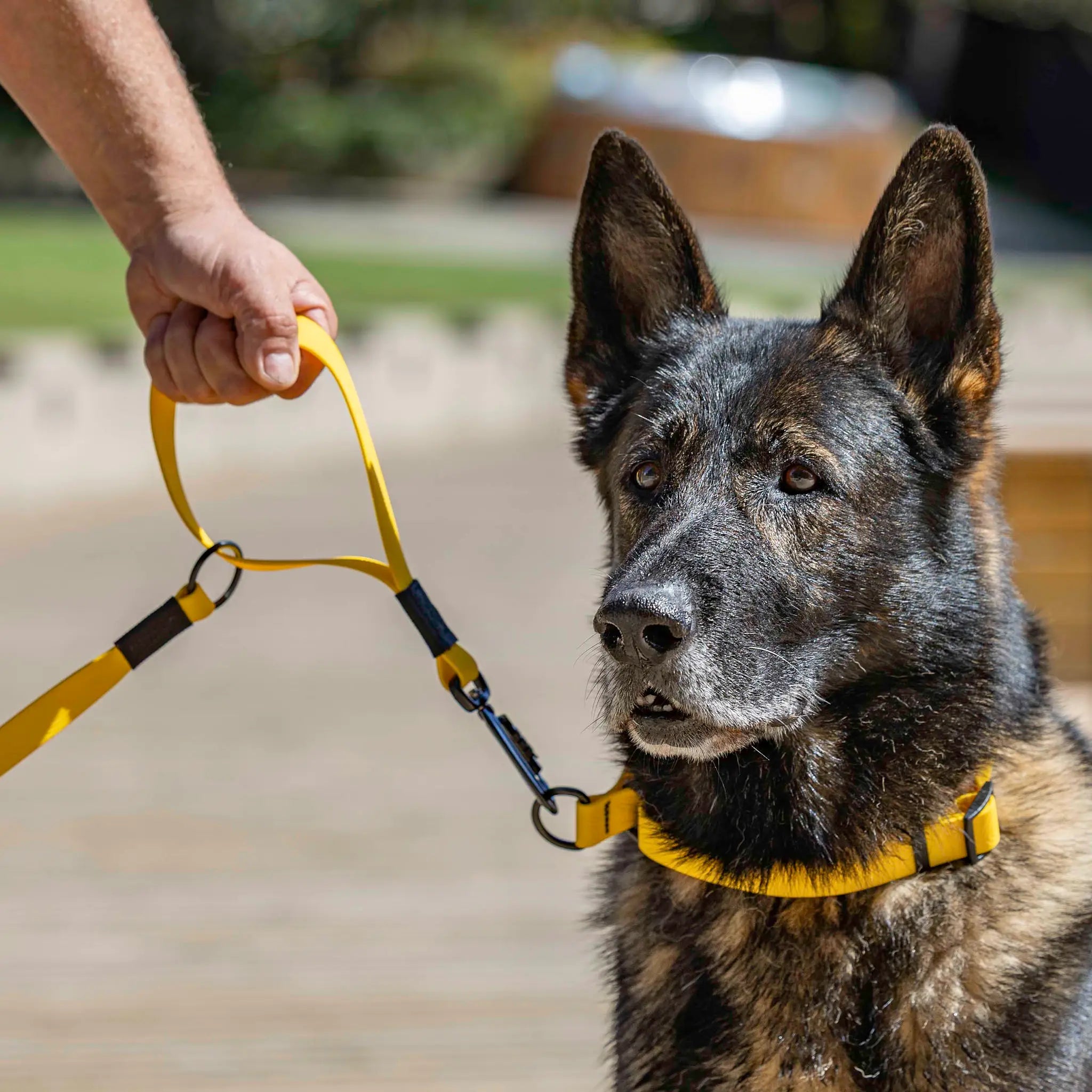Mustard Yellow Terraflow Traffic Handle Leash