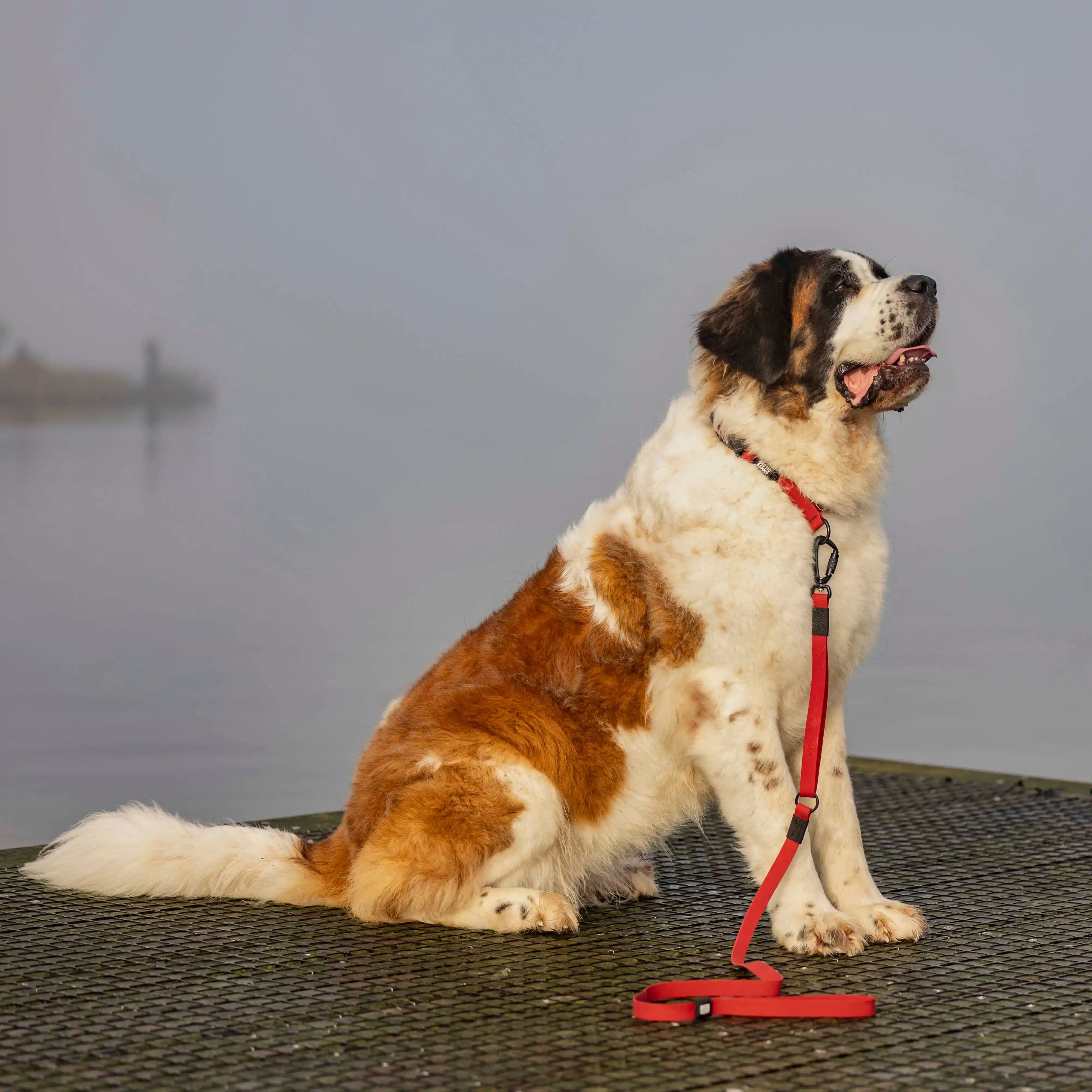 Ruby Red Terraflow Traffic Handle Leash