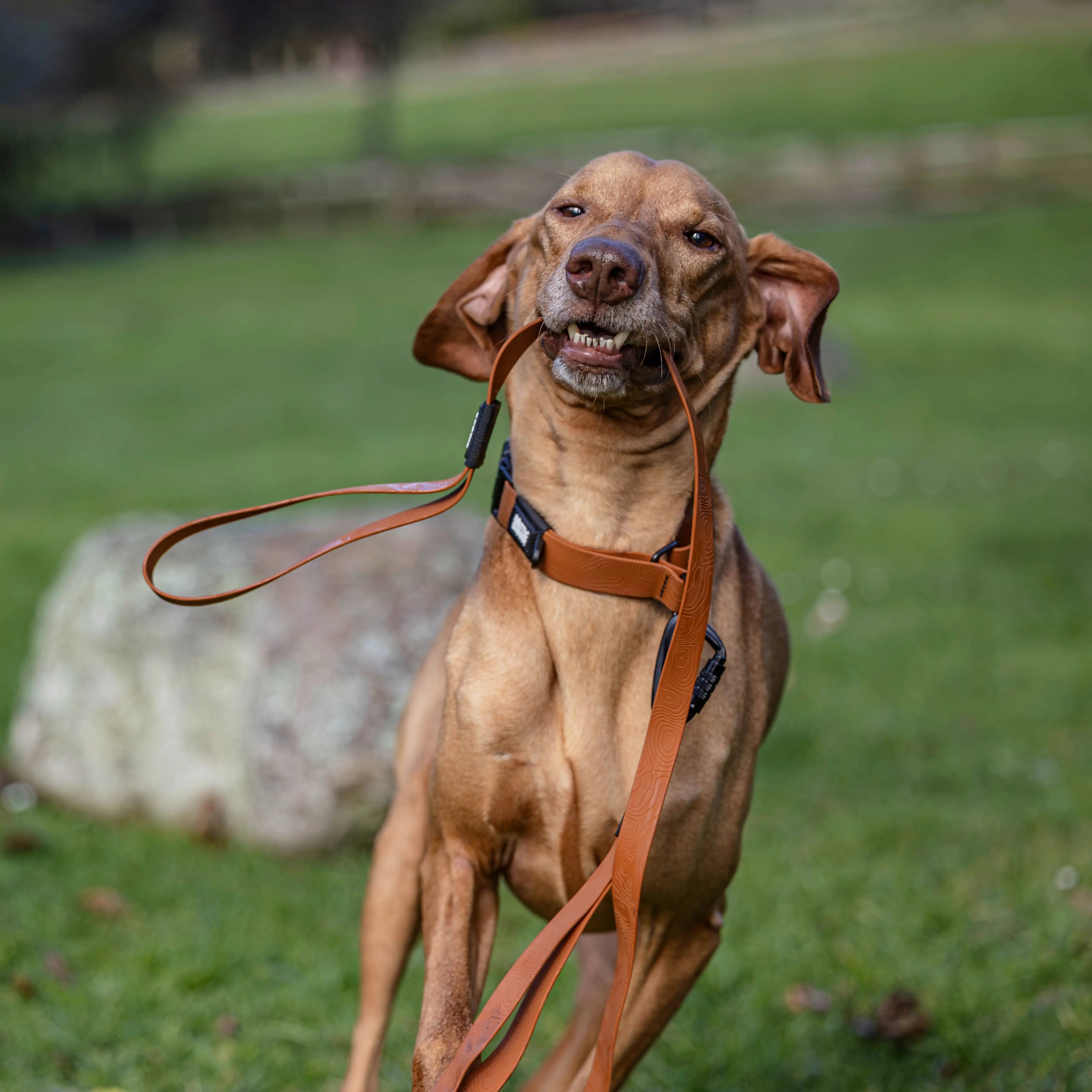 Toffee Brown Terraflow Traffic Handle Leash