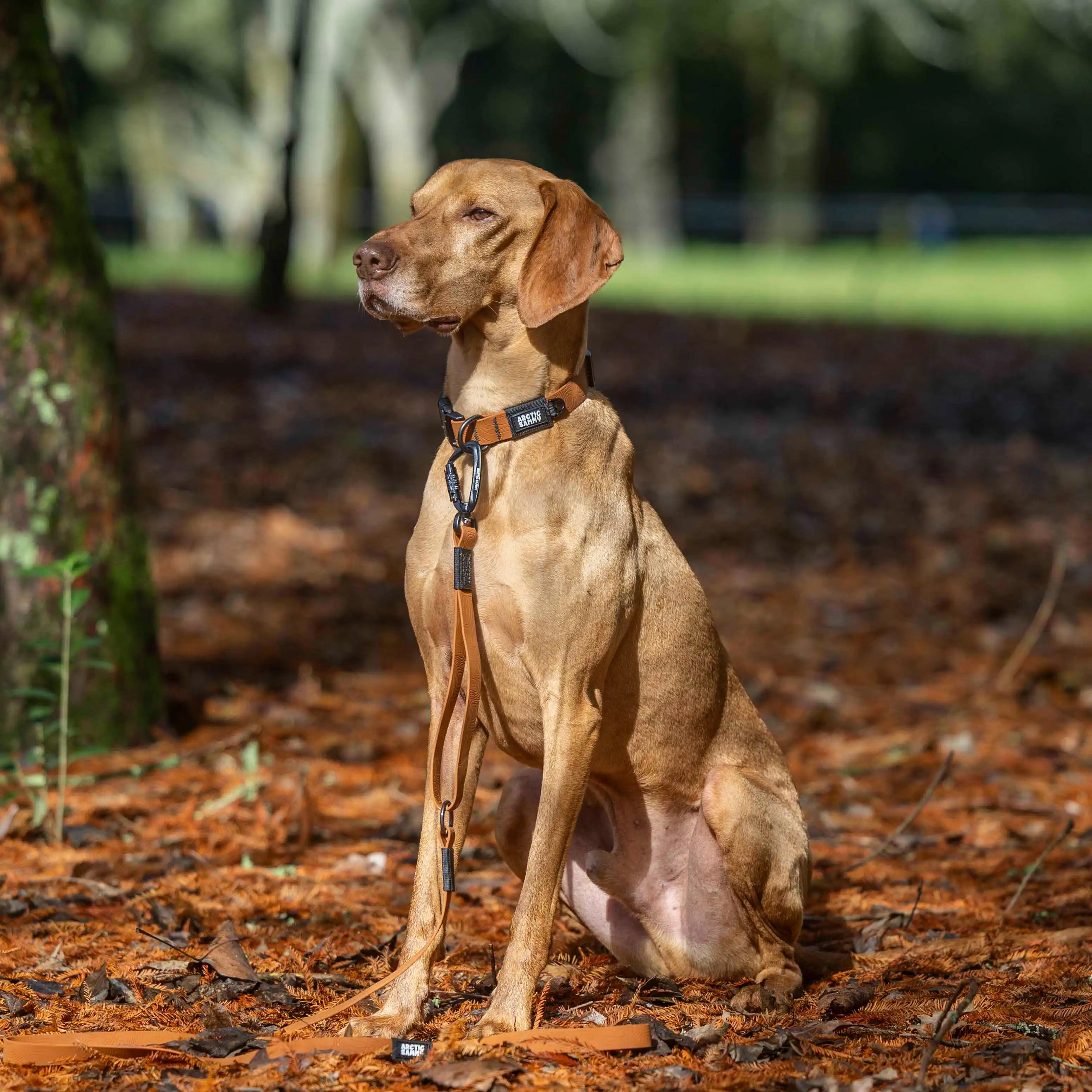 Toffee Brown Terraflow Traffic Handle Leash