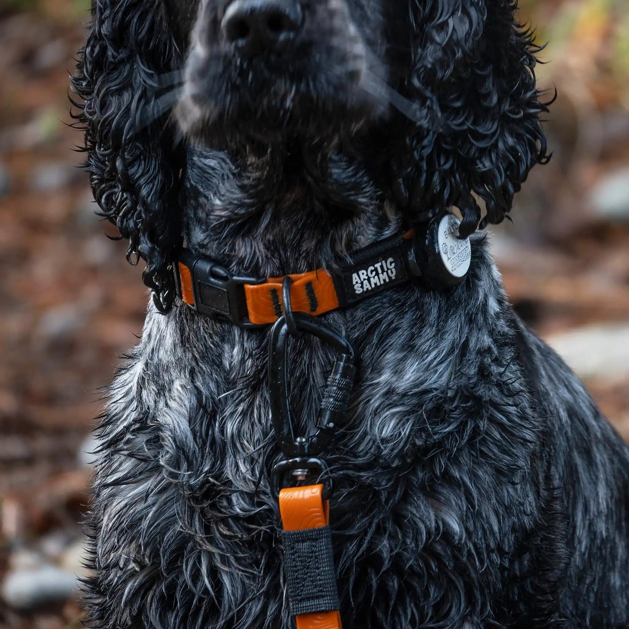 Orange Terraflow Waterproof Dog Collar
