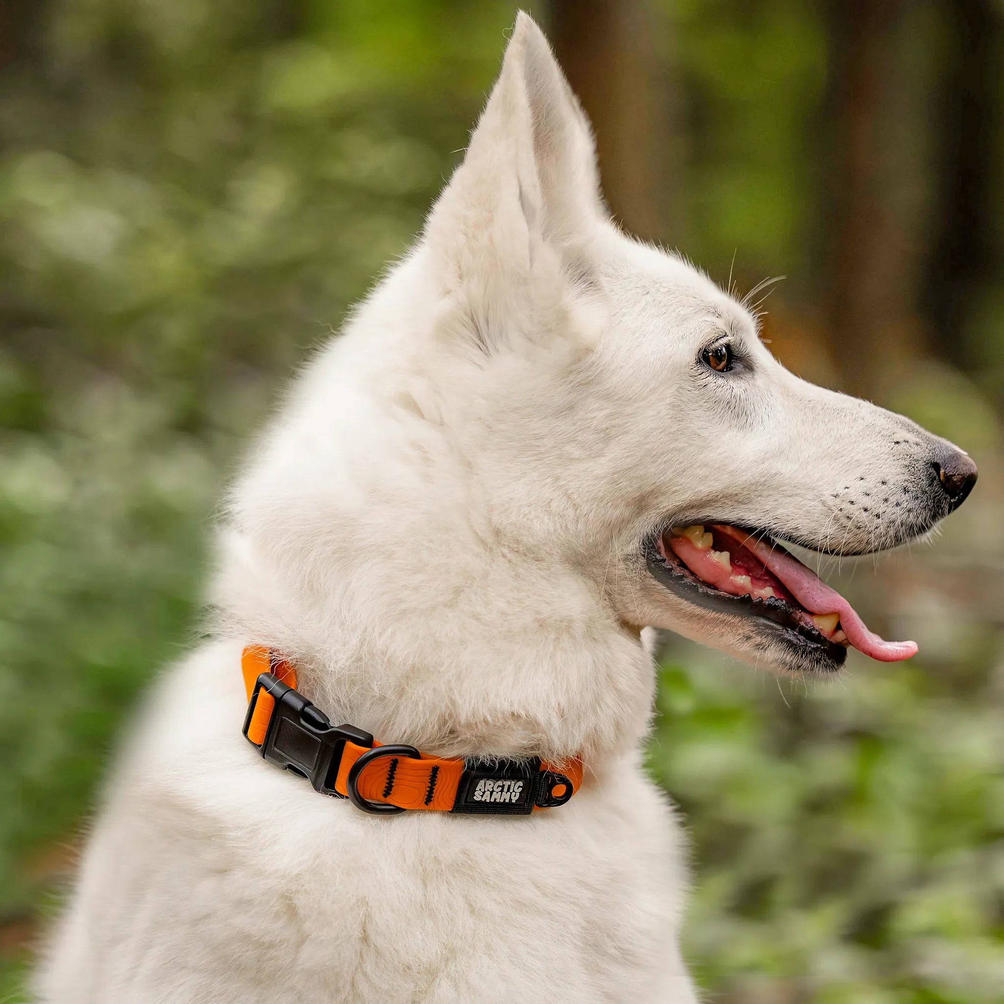 Orange Terraflow Waterproof Dog Collar