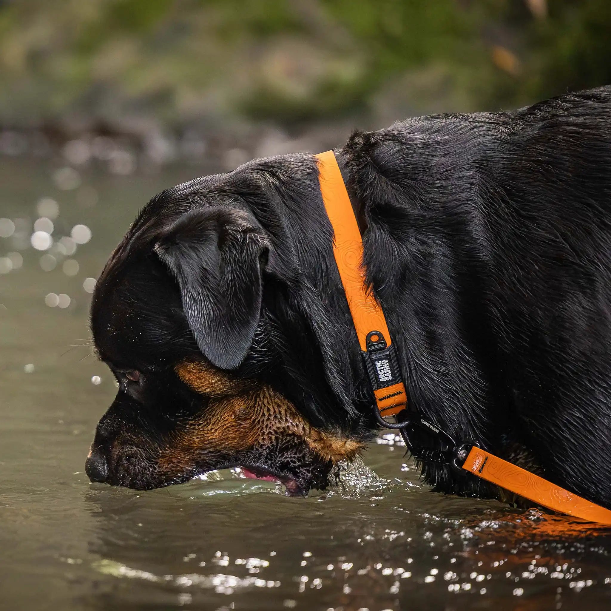 Orange Terraflow Waterproof Dog Collar