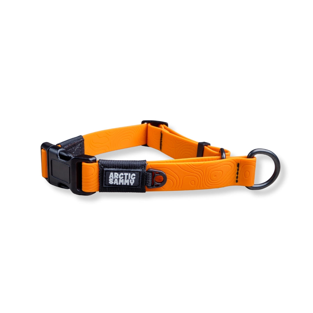 Orange Terraflow Waterproof Martingale Dog Collar