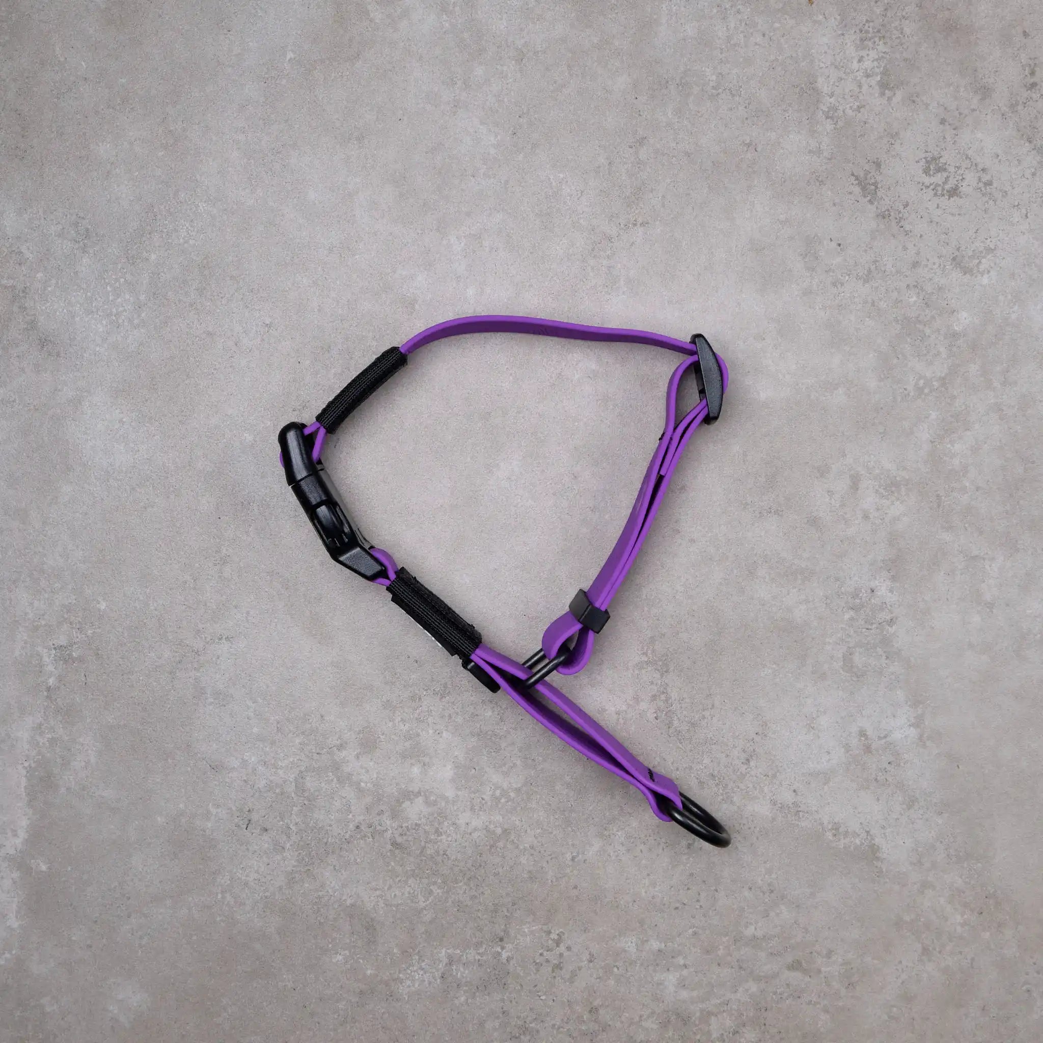 Purple Terraflow Waterproof Martingale Dog Collar