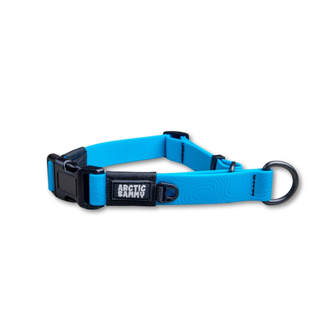 Teal Terraflow Waterproof Martingale Dog Collar