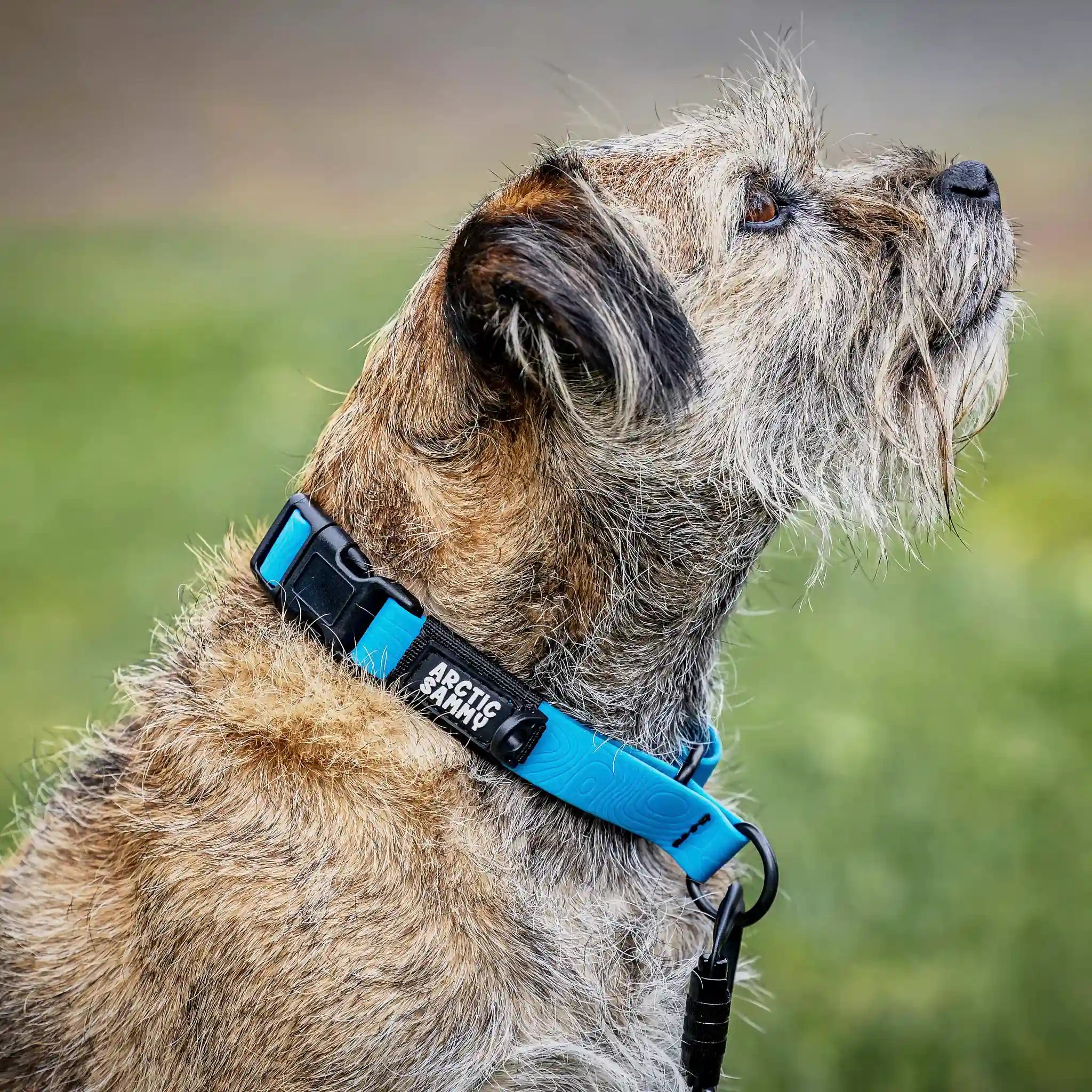 Teal Terraflow Waterproof Martingale Dog Collar