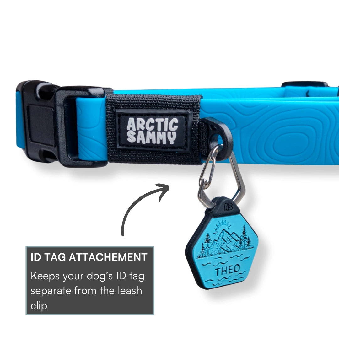 Teal Terraflow Waterproof Martingale Dog Collar