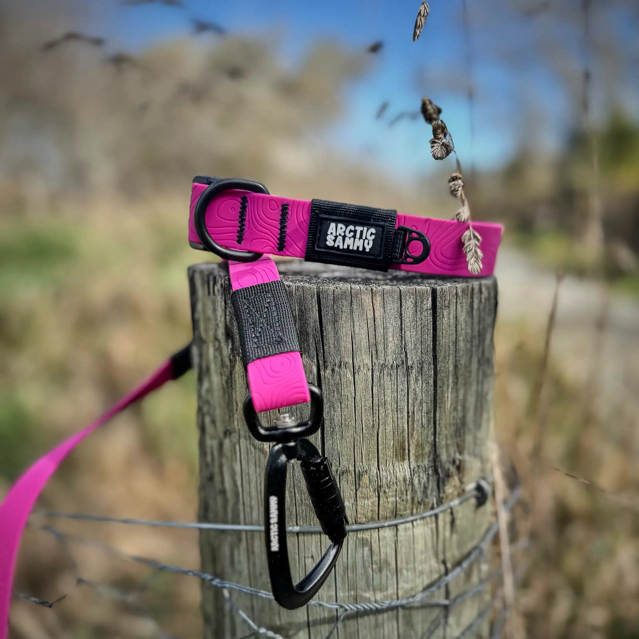 Pink Terraflow Waterproof Dog Collar