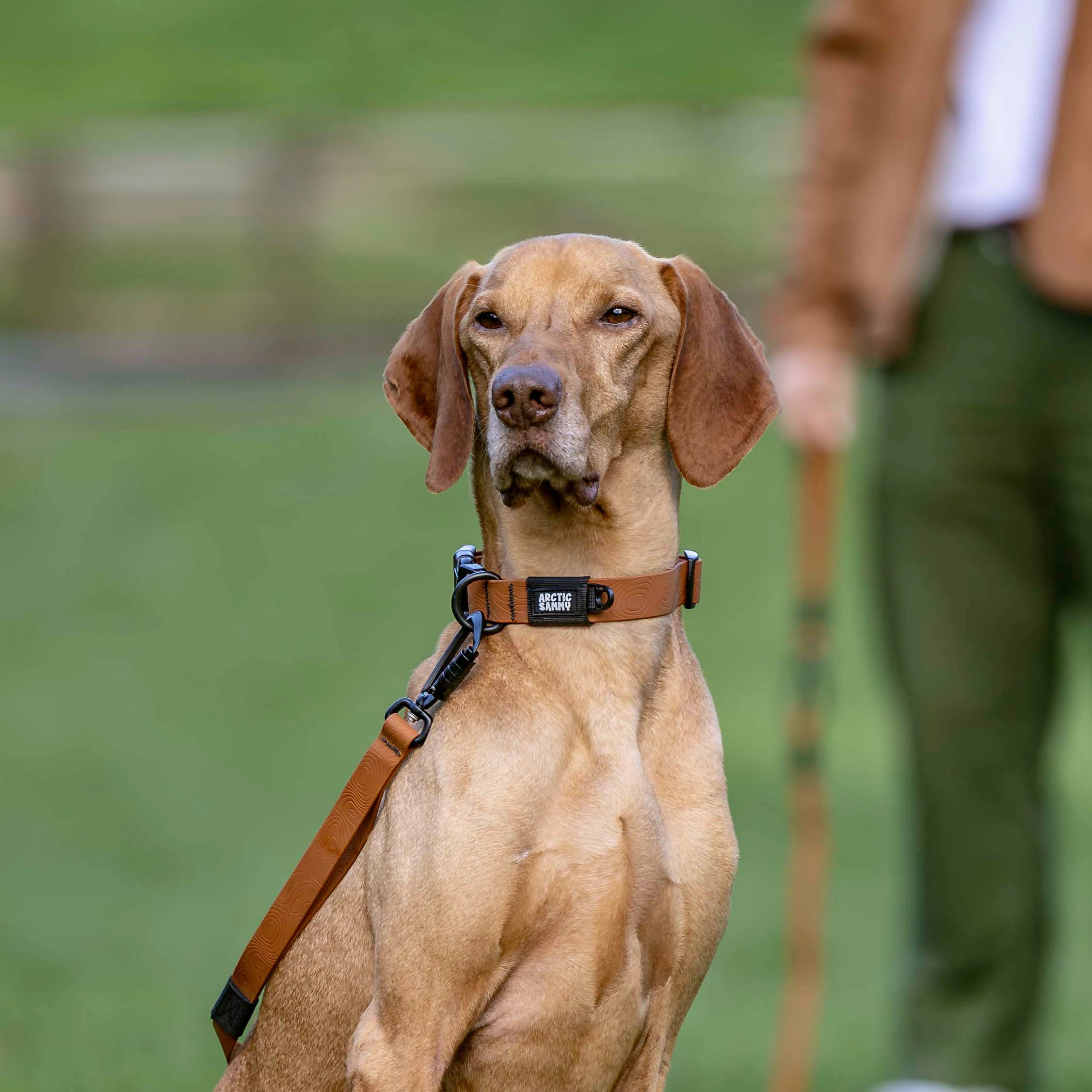 Toffee Brown Terraflow Waterproof Dog Collar