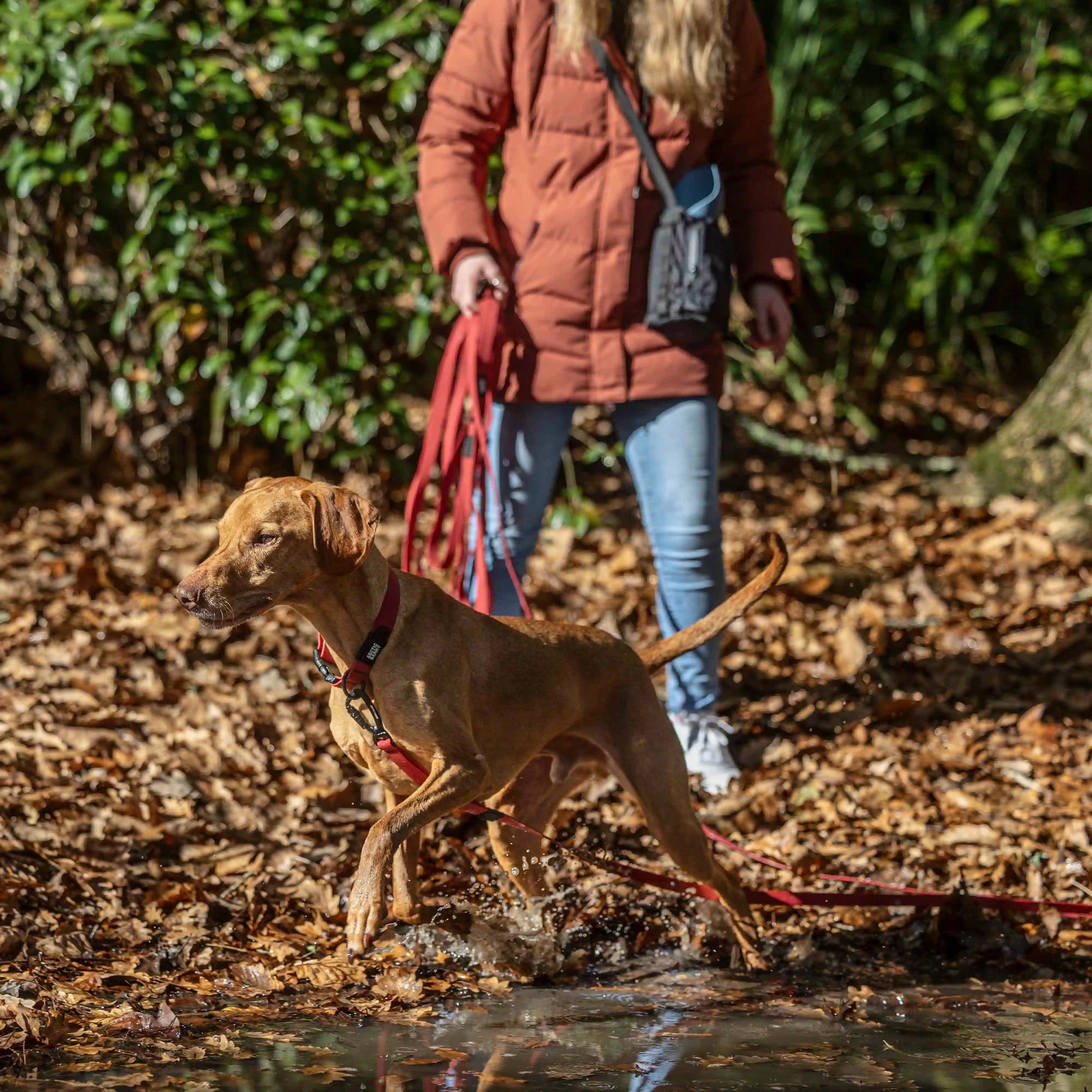 Ruby Red Terraflow Long Line Dog Leash
