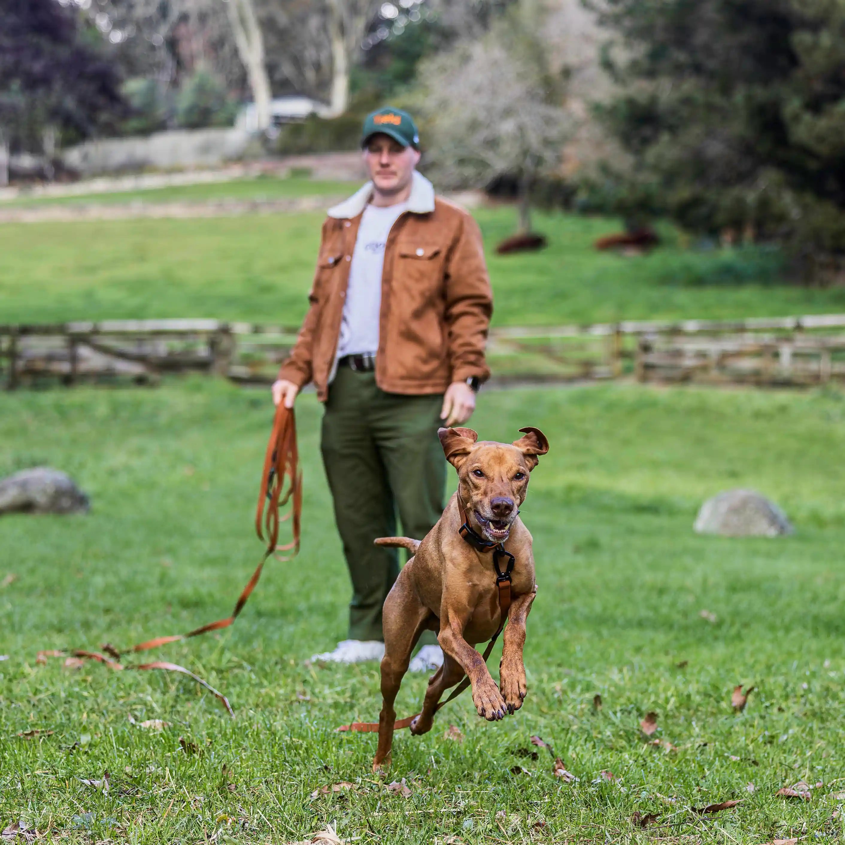 Toffee Brown Terraflow Long Line Dog Leash