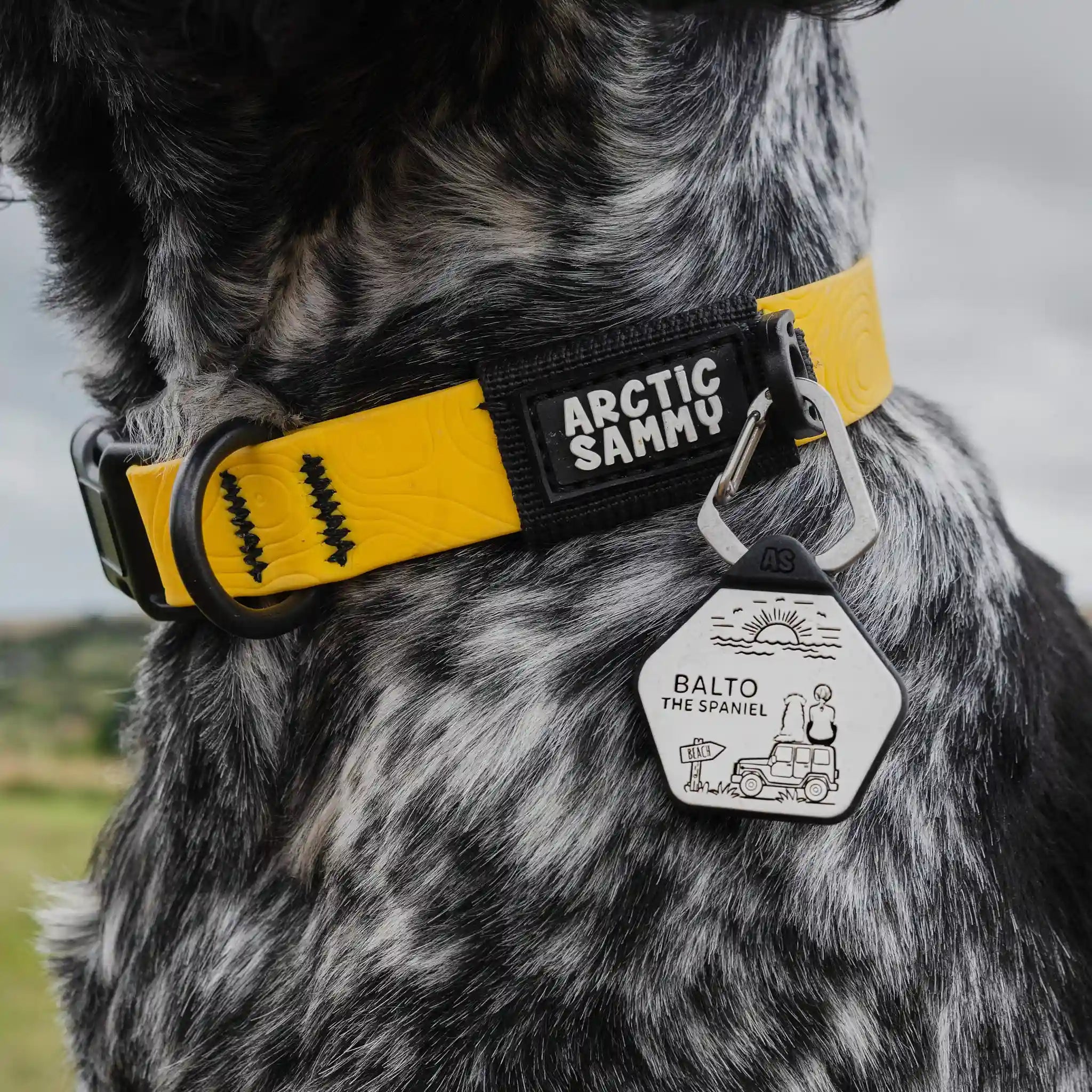 Mustard Yellow Terraflow Waterproof Dog Collar