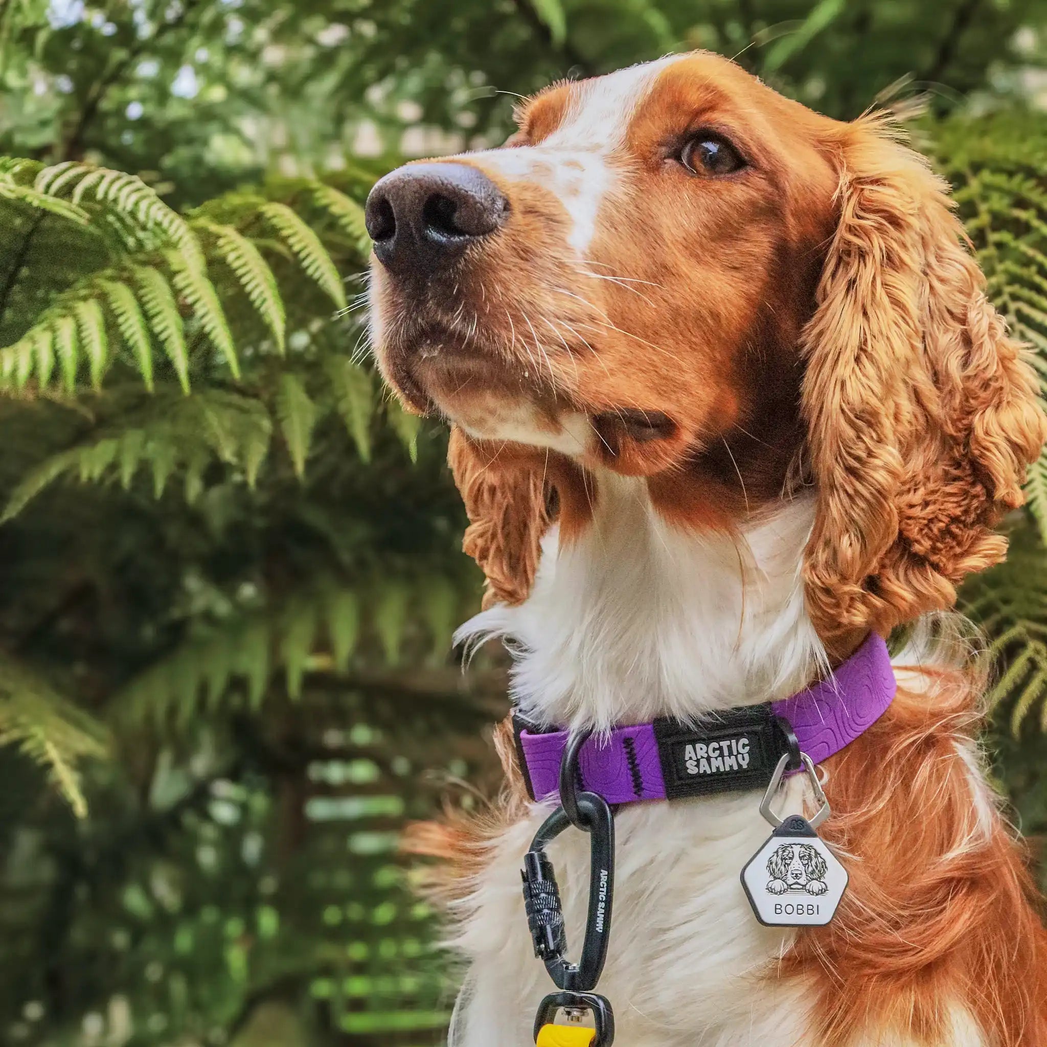 Purple Terraflow Waterproof Dog Collar