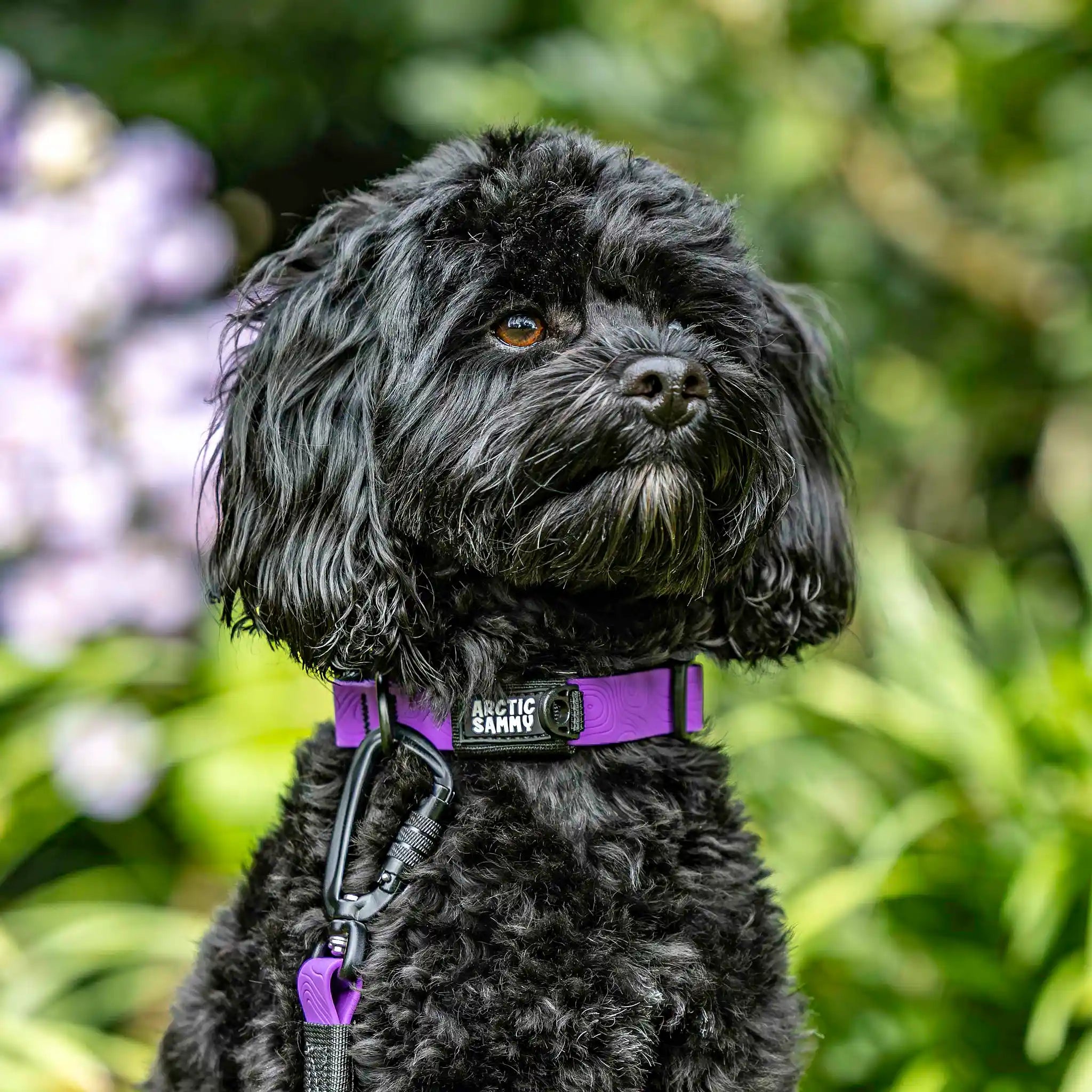 Purple Terraflow Waterproof Dog Collar
