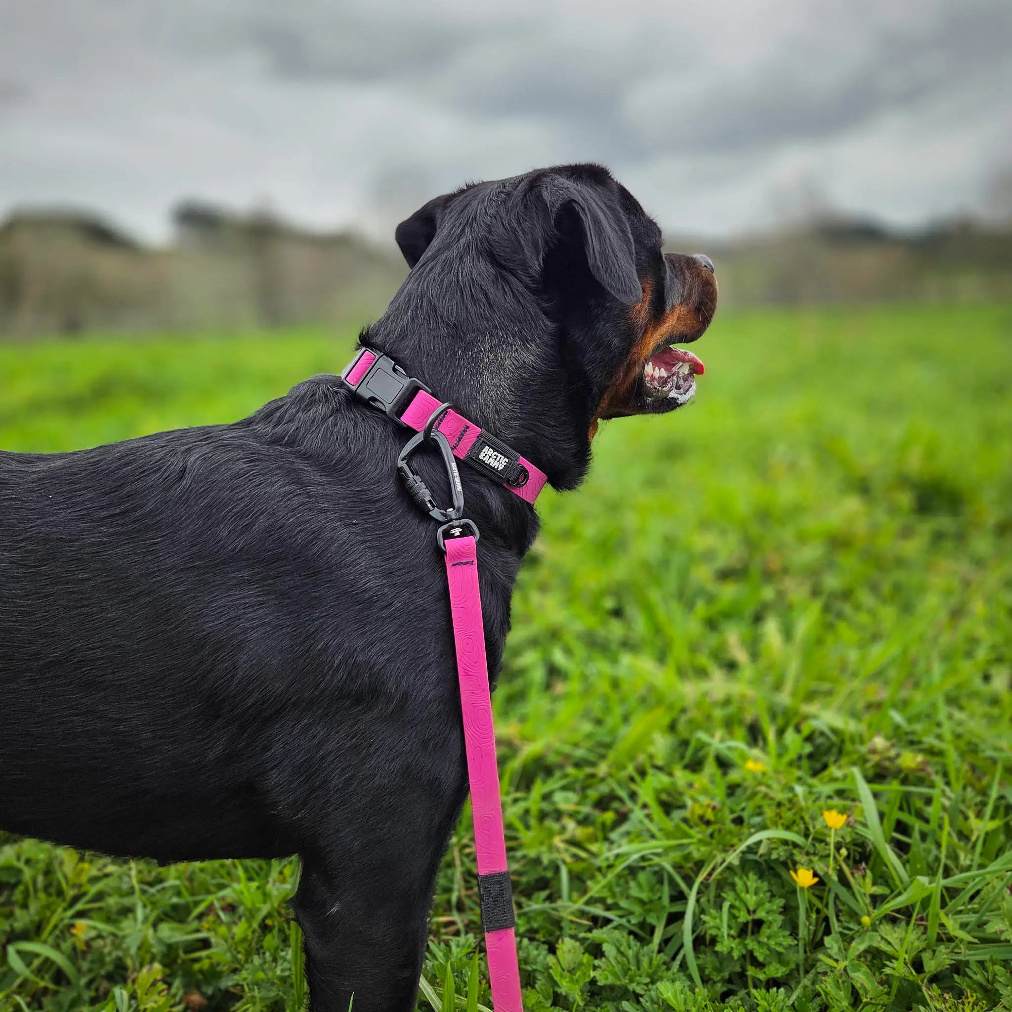 Pink Terraflow Long Line Dog Leash