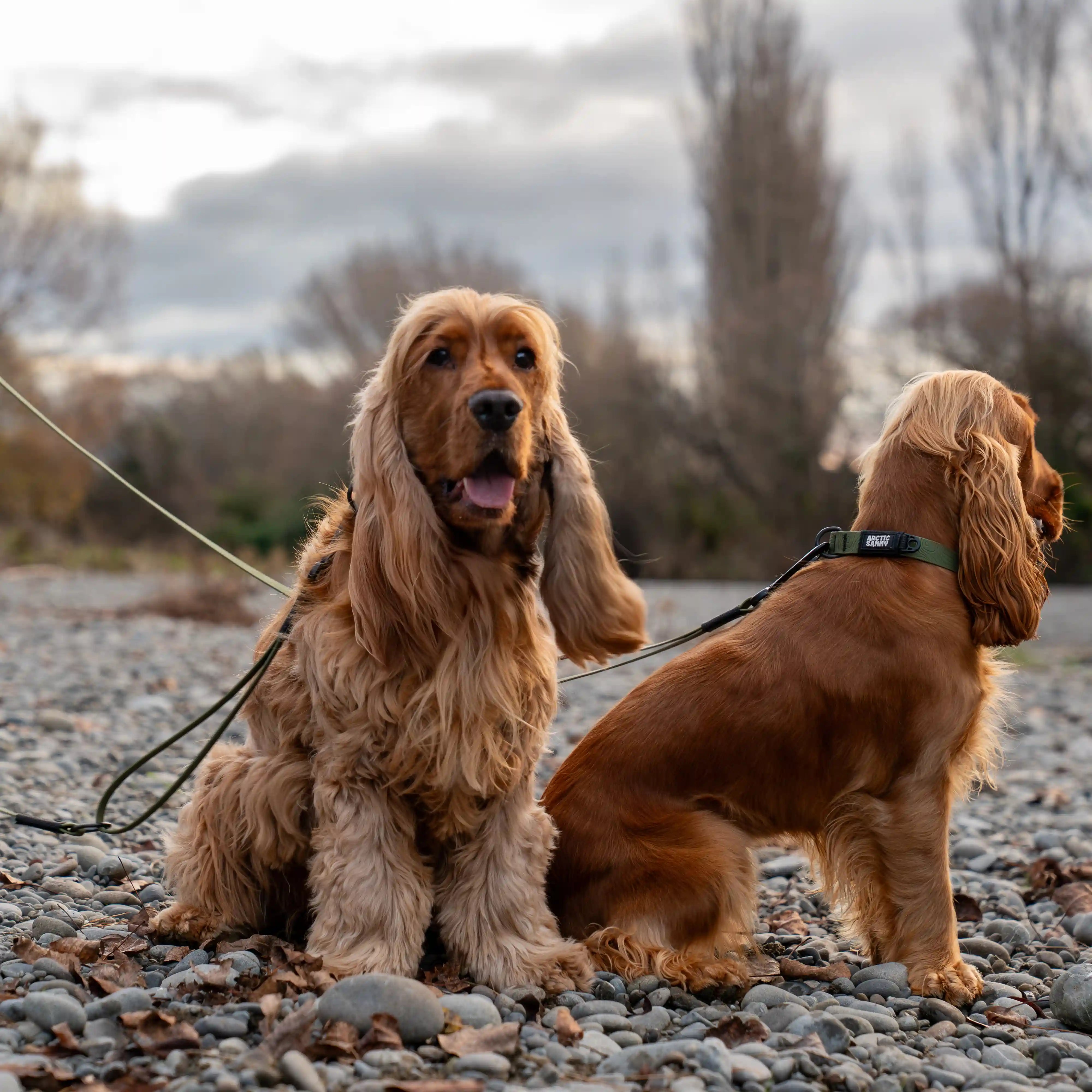 Olive Terraflow Traffic Handle Leash