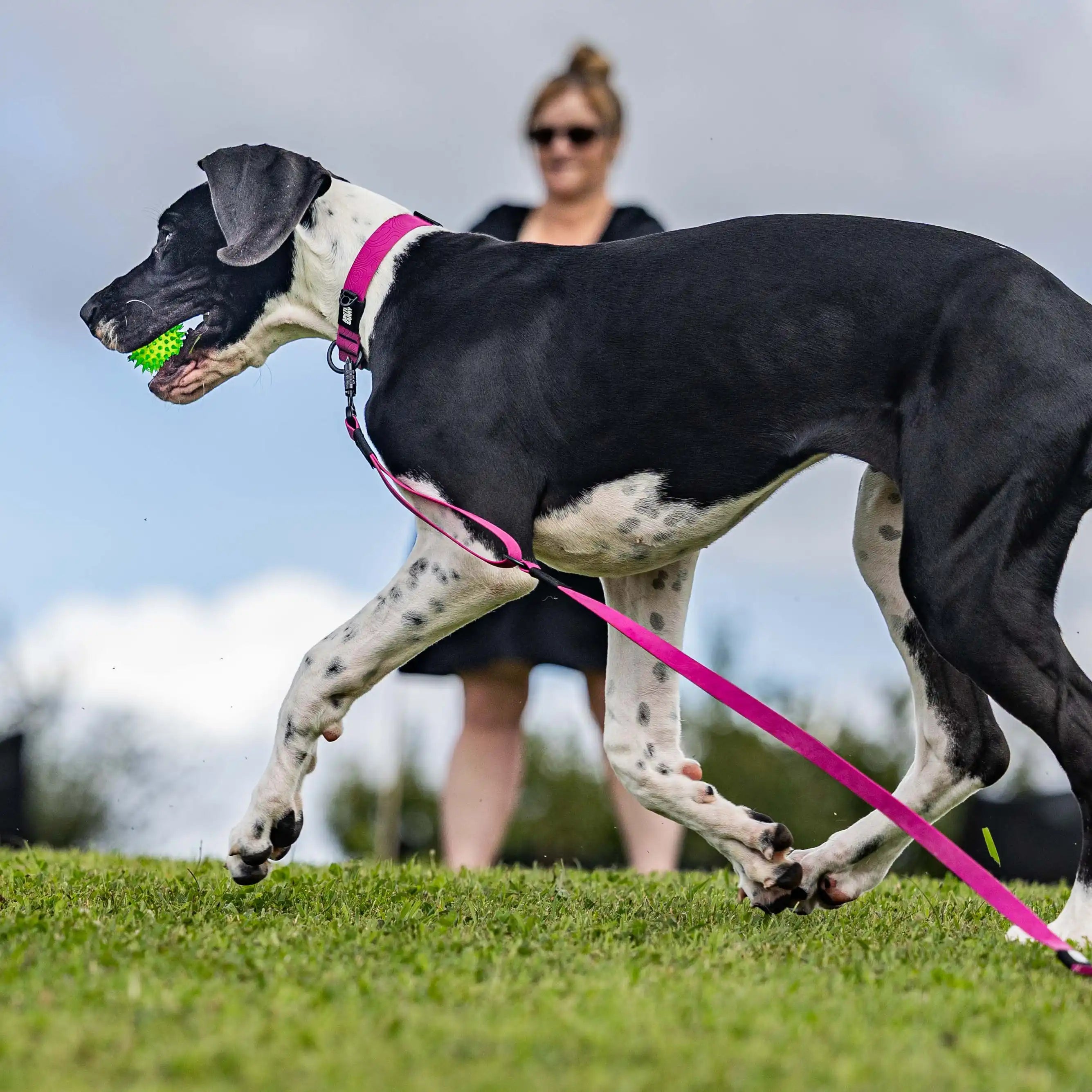 Pink Terraflow Traffic Handle Leash