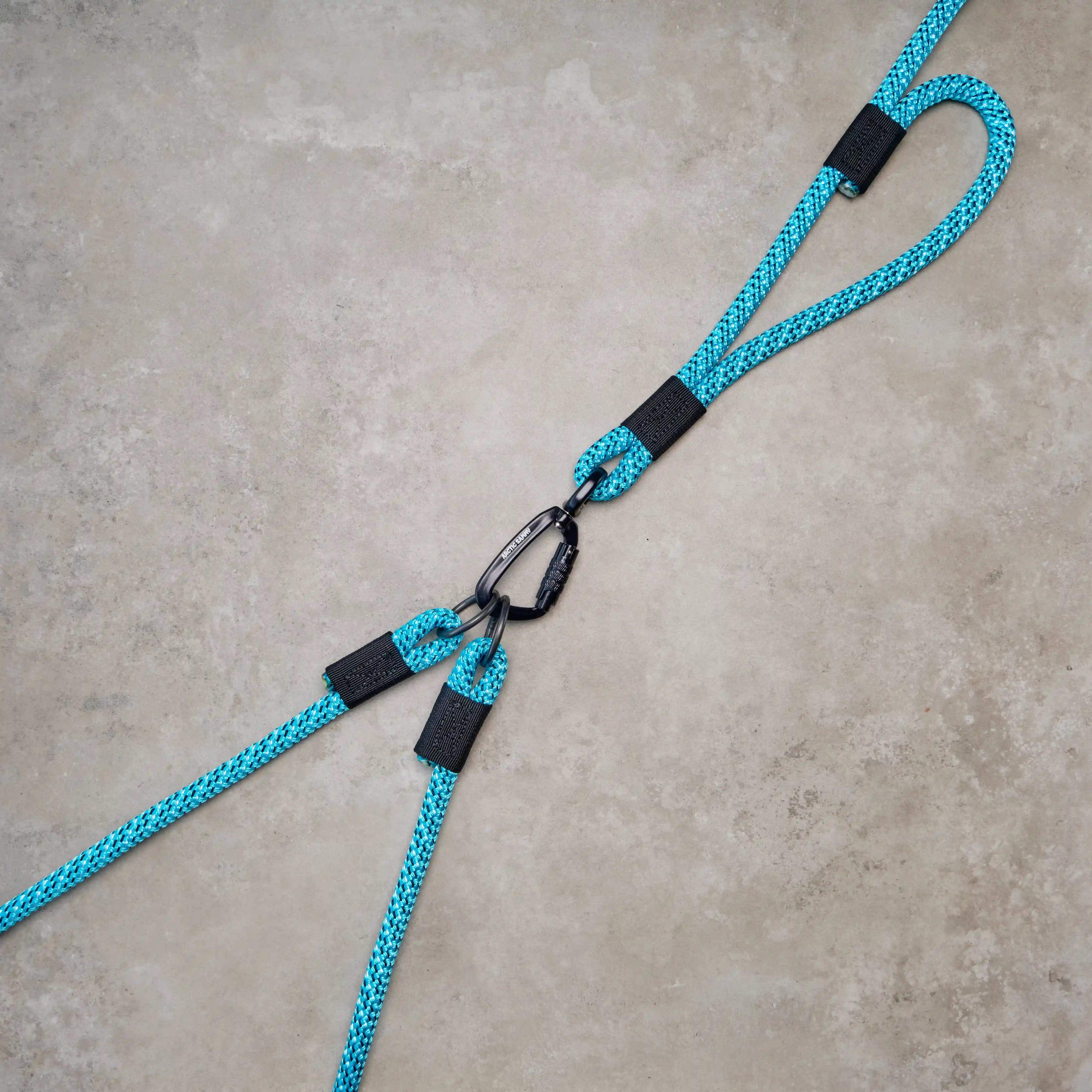 Pukaki Handsfree Double Dog Leash