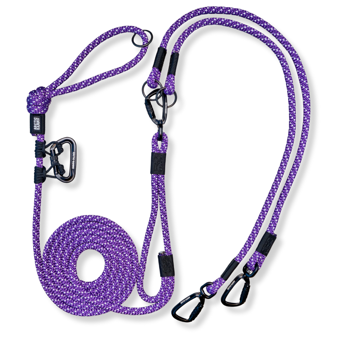 Waihi Handsfree Double Dog Leash