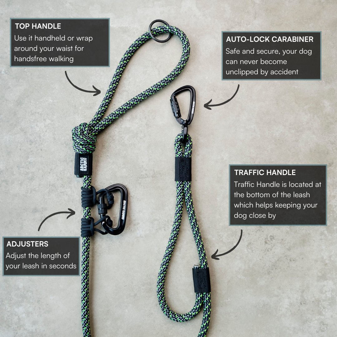 Craigieburn Handsfree Double Dog Leash