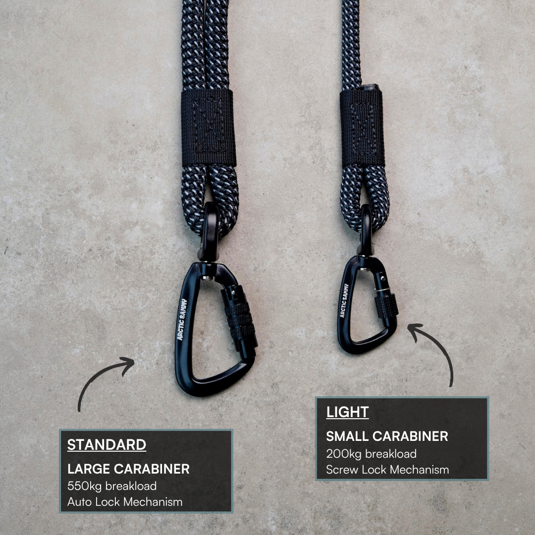 Mackenzie Handsfree Double Dog Leash