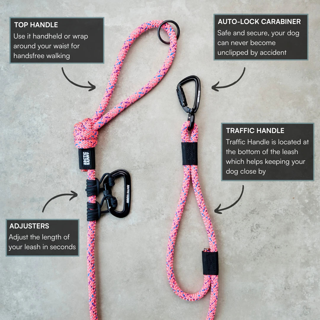 Ohau Trail Runner Handsfree Dog Leash
