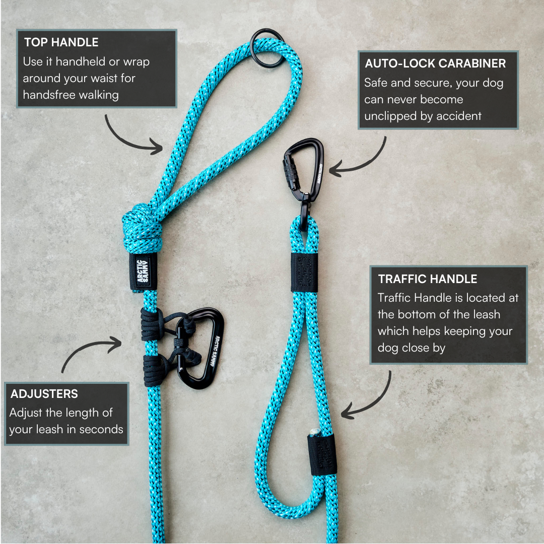 Pukaki Handsfree Double Dog Leash