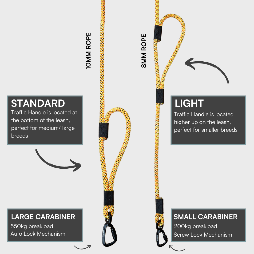 Raglan Handsfree Double Dog Leash