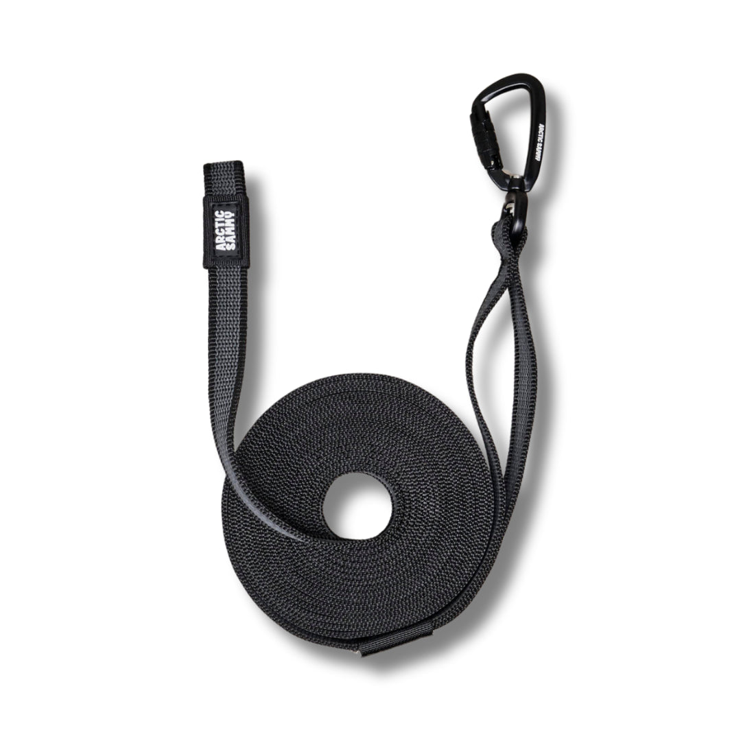 Black Train and Recall Long Line Dog Leash