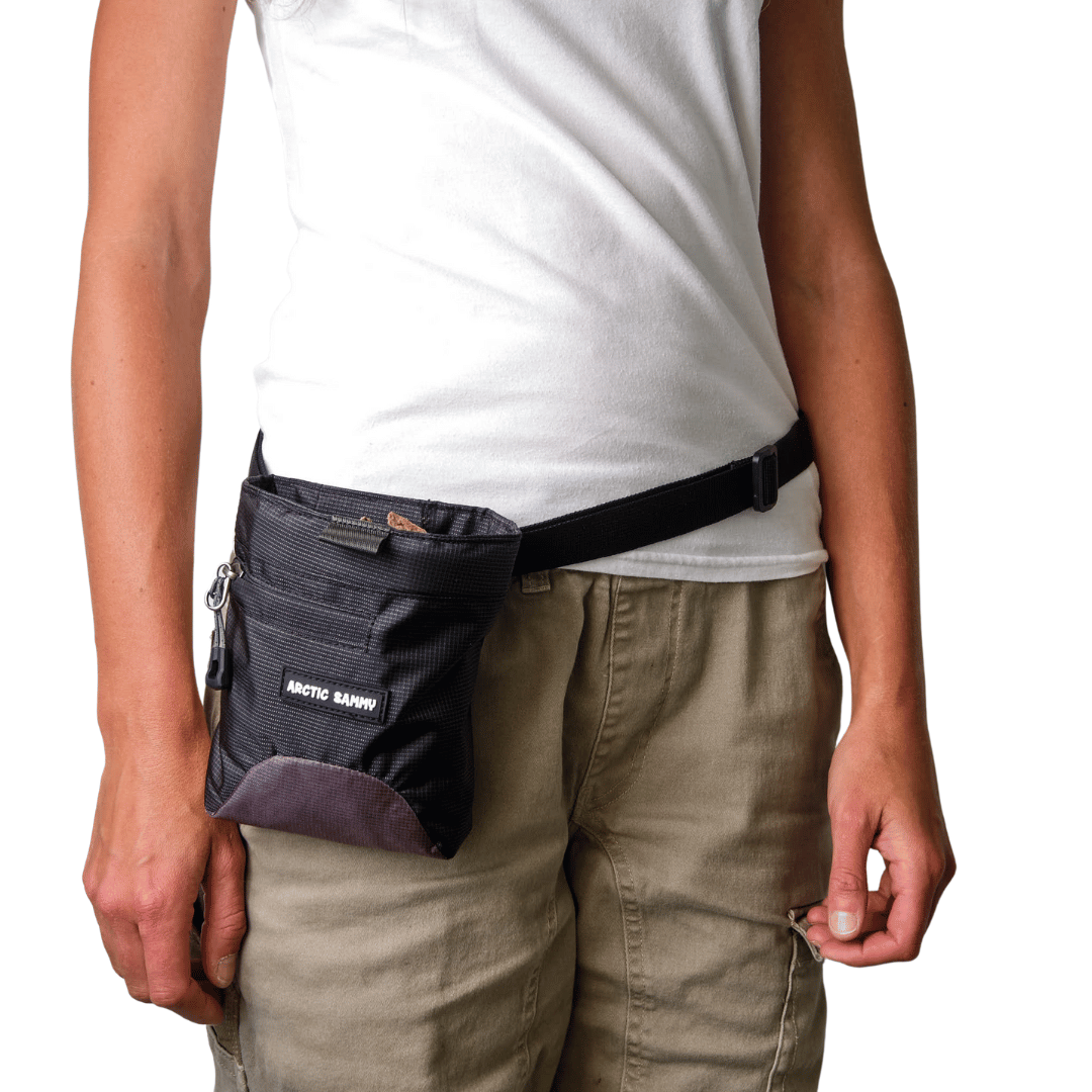 Dog Treat Pouch