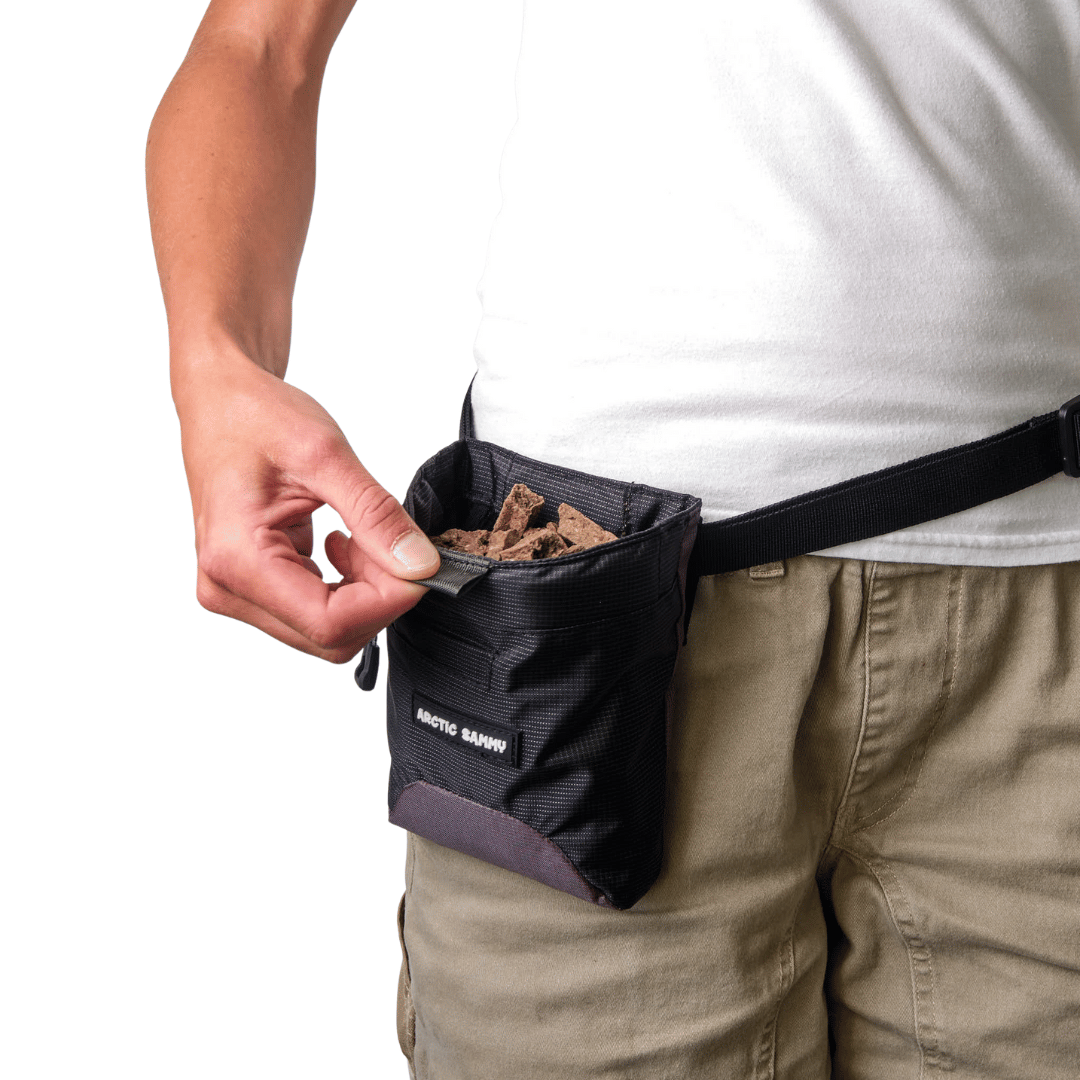 Dog Treat Pouch