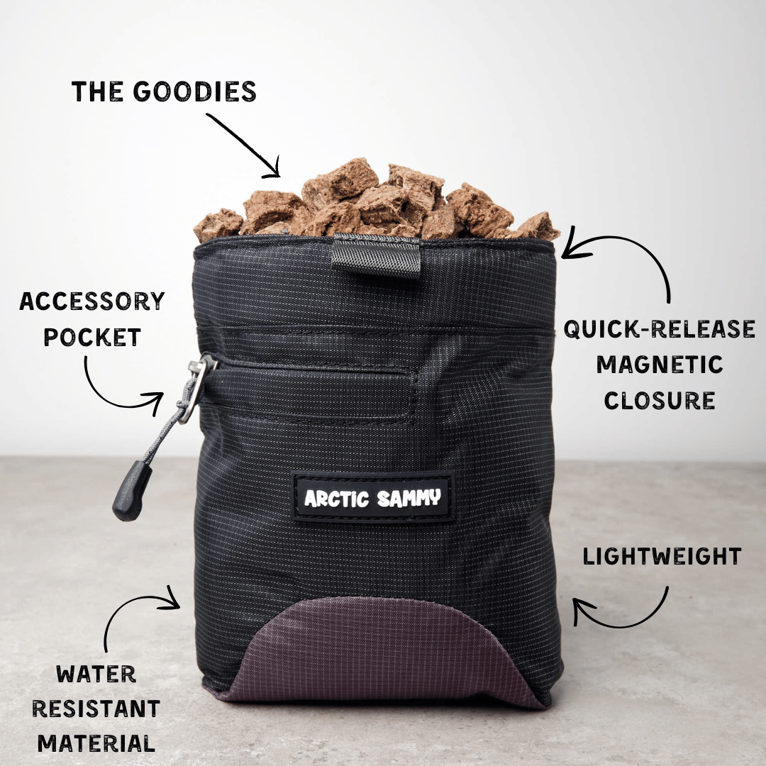 Dog Treat Pouch